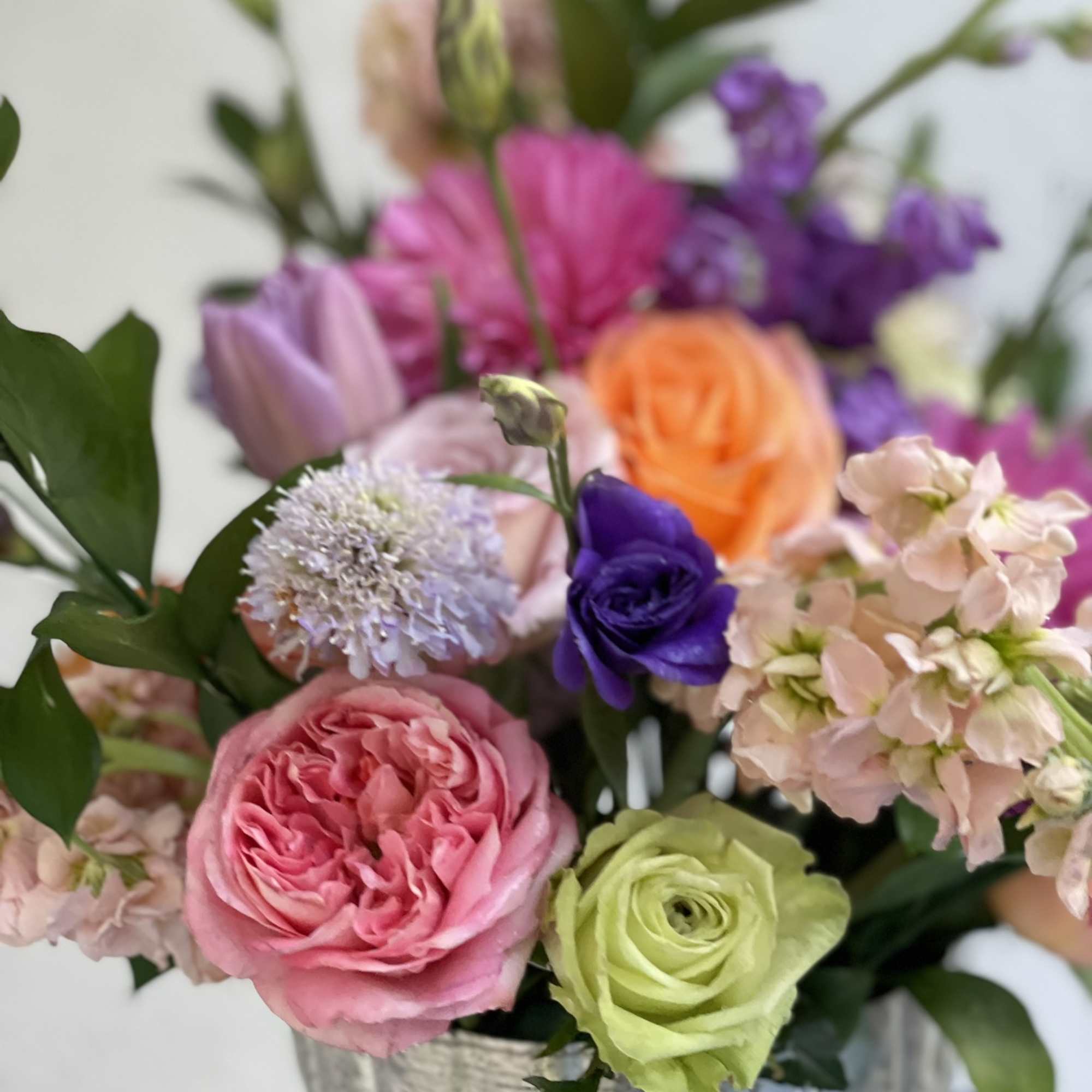 This bright and colorful combination can be summed up with one word...