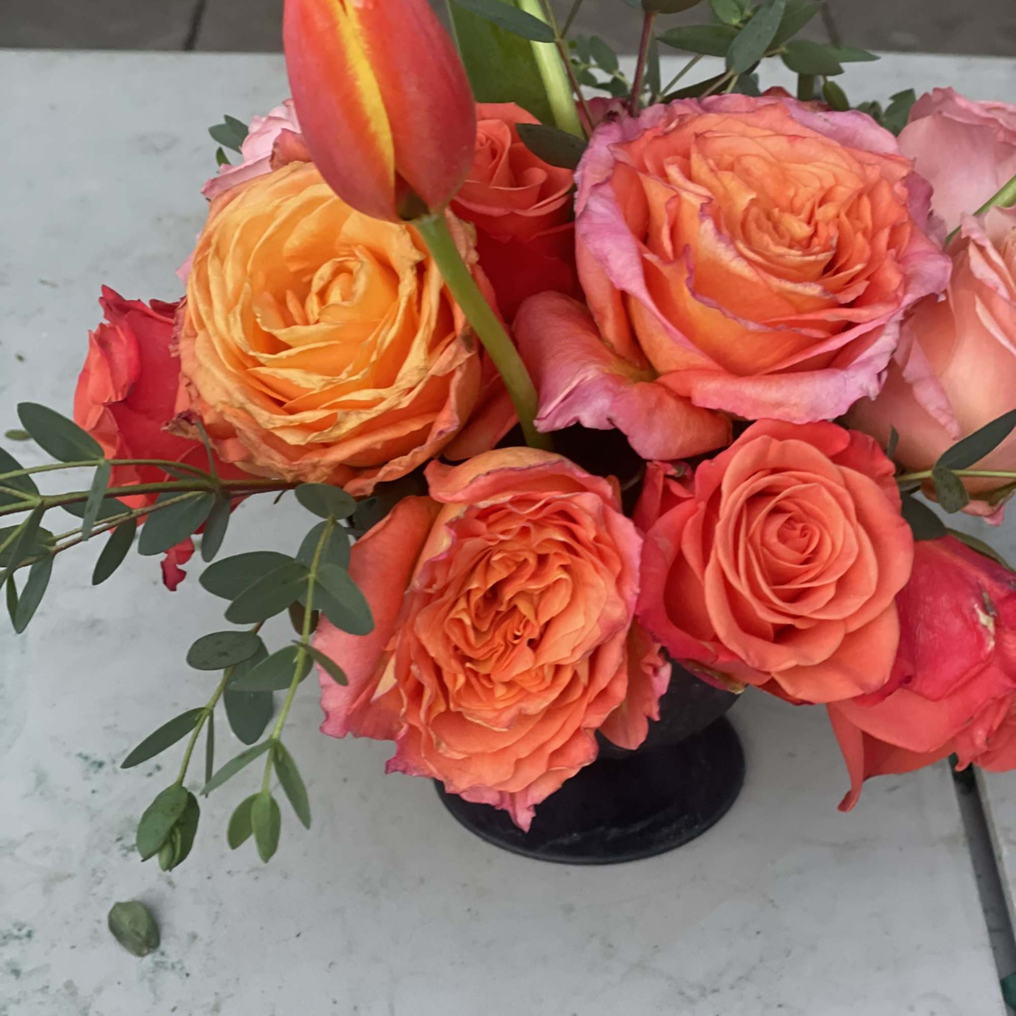This combination packs a bold punch, radiating deep orange from every bloom