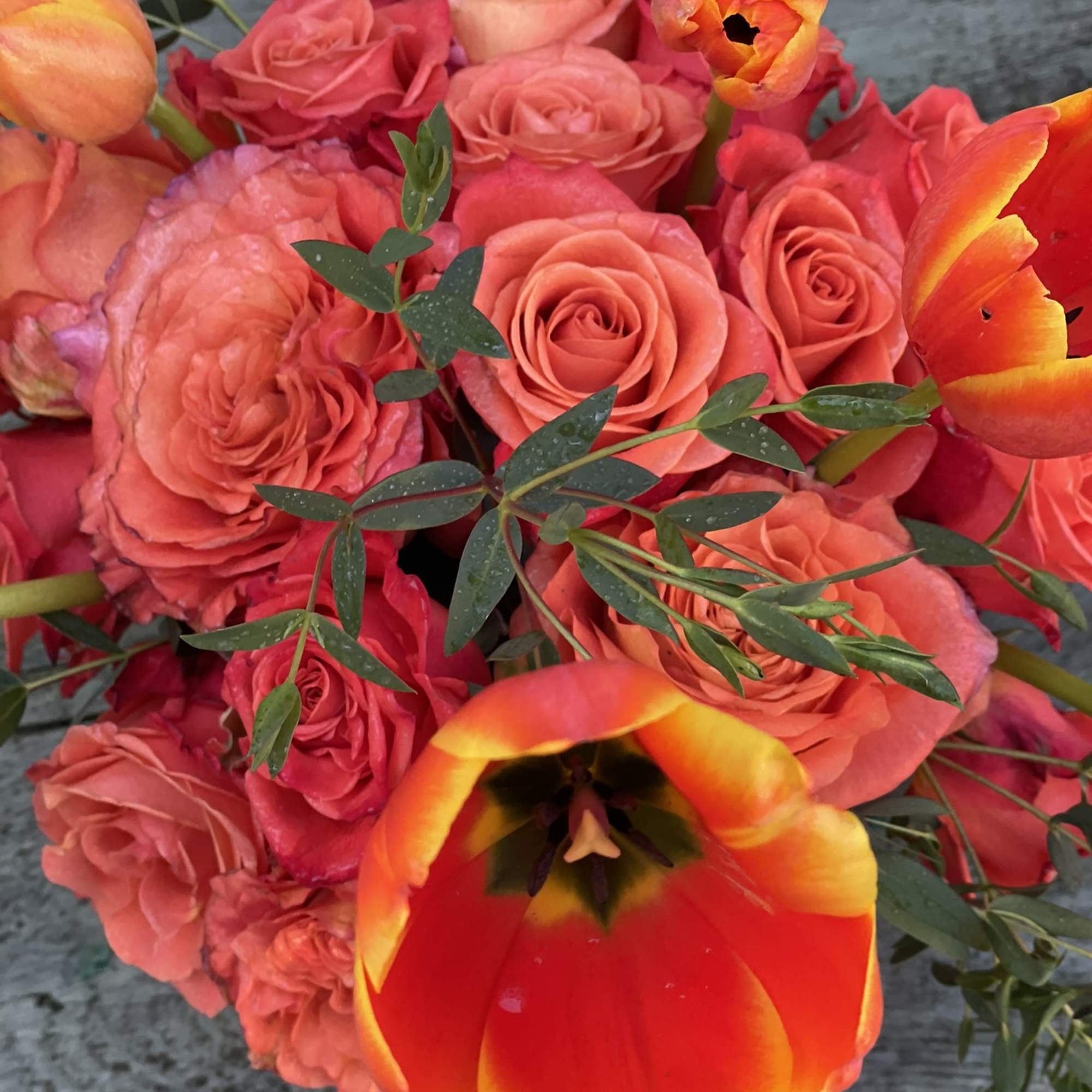 This combination packs a bold punch, radiating deep orange from every bloom