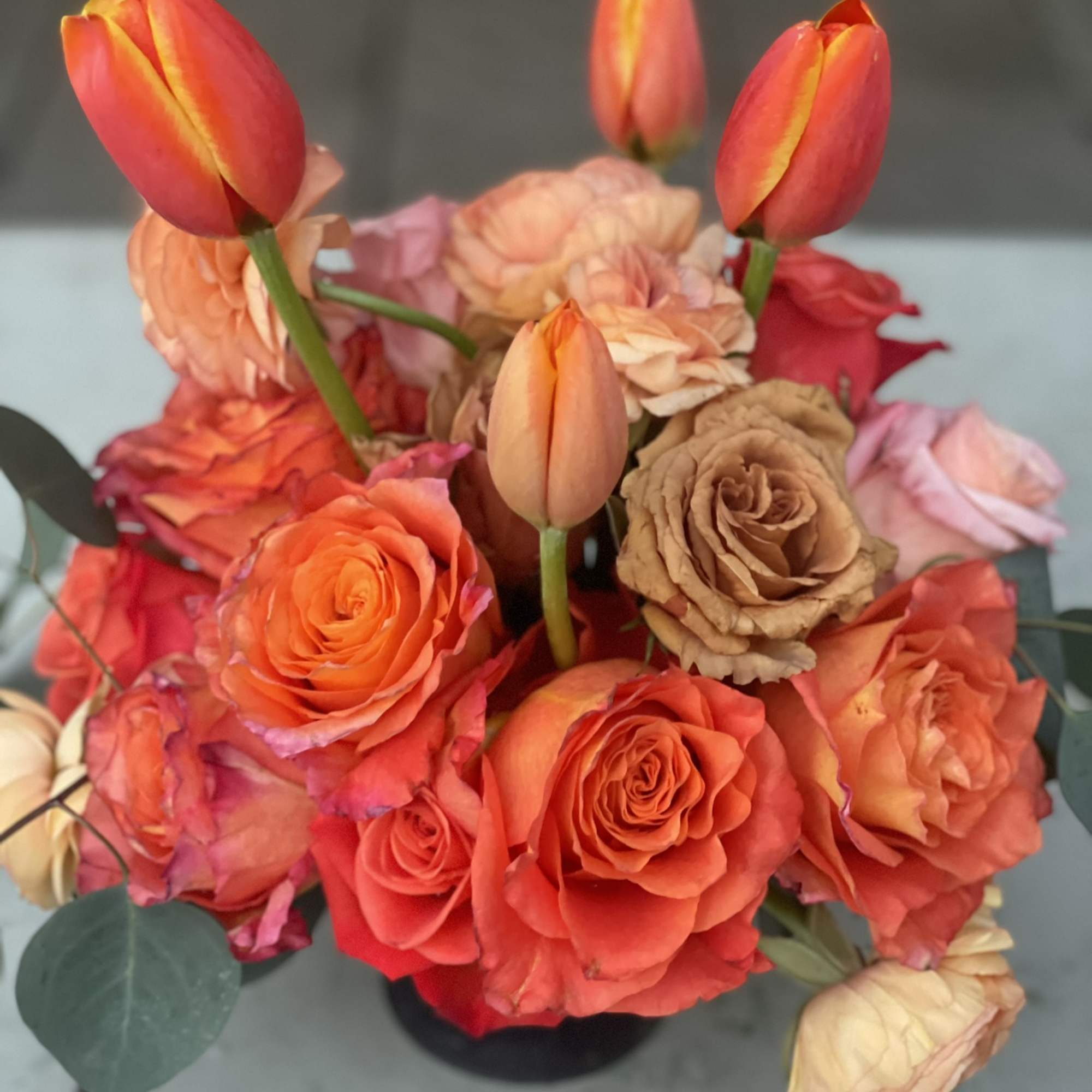 This unique and vibrant compact arrangement is bright and bold. Its unique