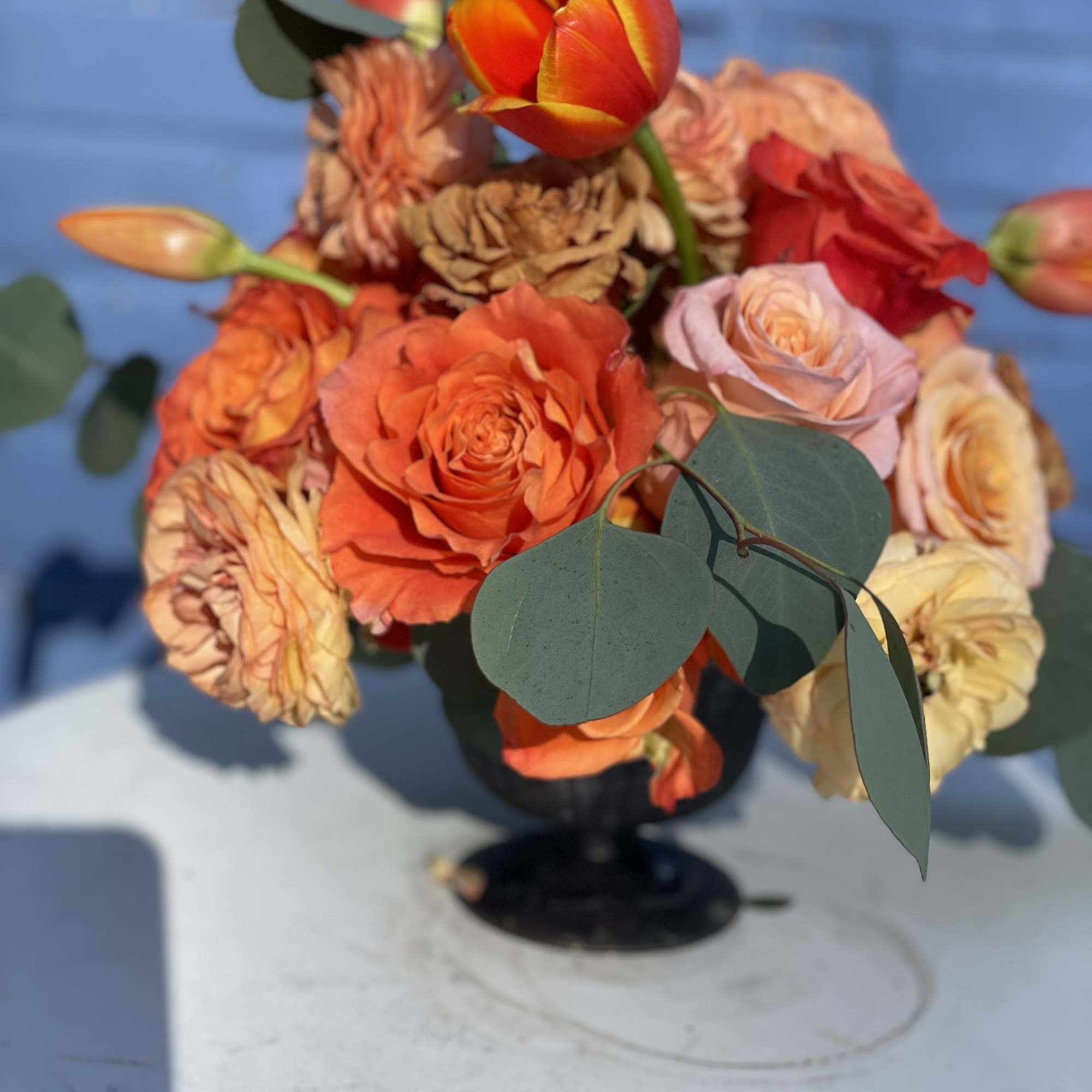 This unique and vibrant compact arrangement is bright and bold. Its unique