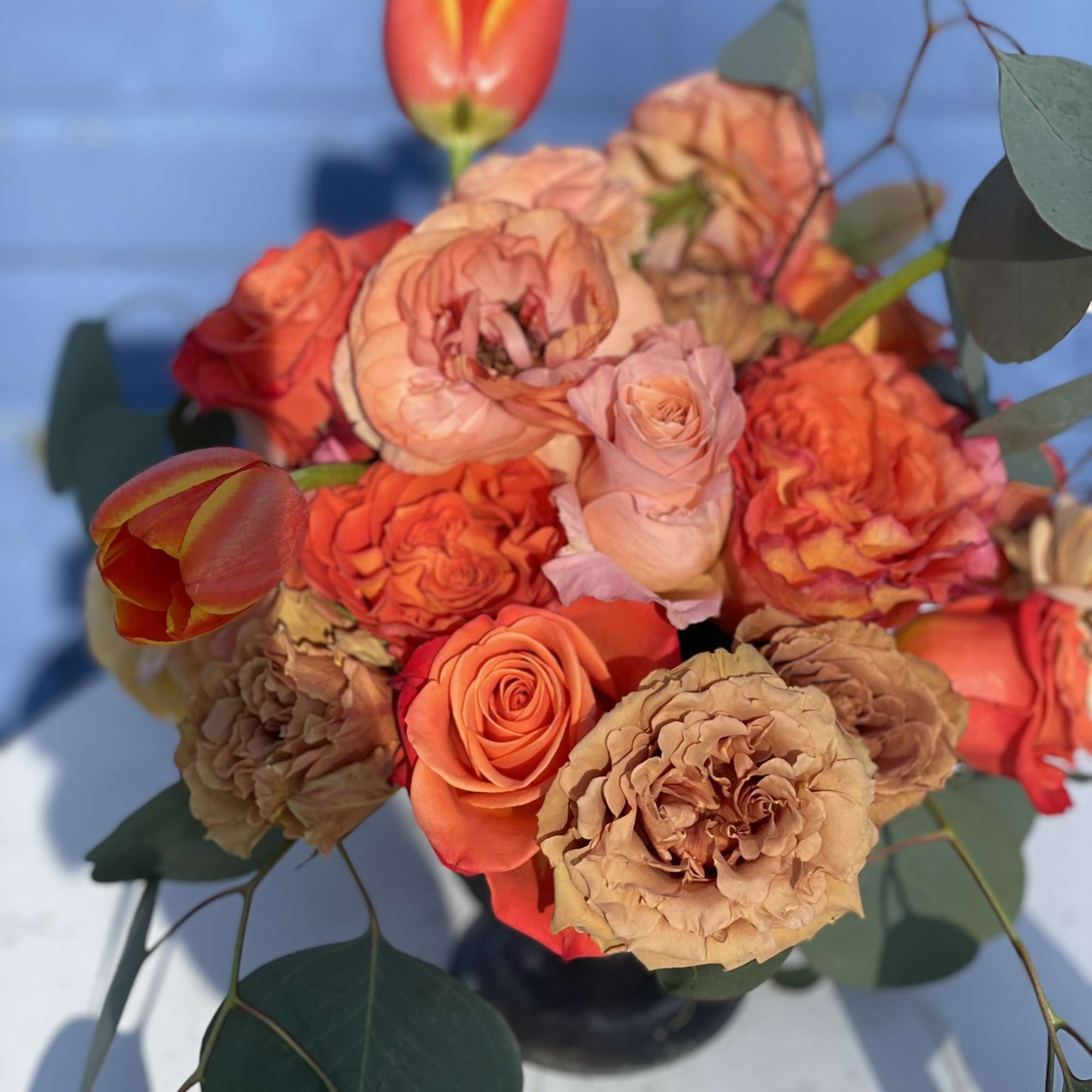 This unique and vibrant compact arrangement is bright and bold. Its unique