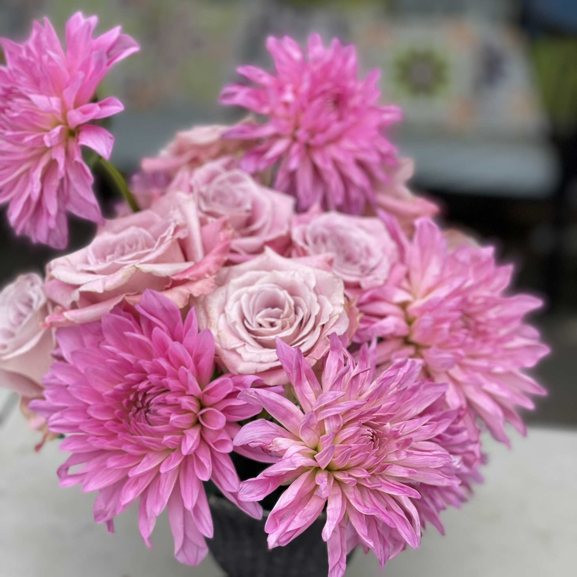 This compact composition of Roses and Dahlias boasts a bold look, shining