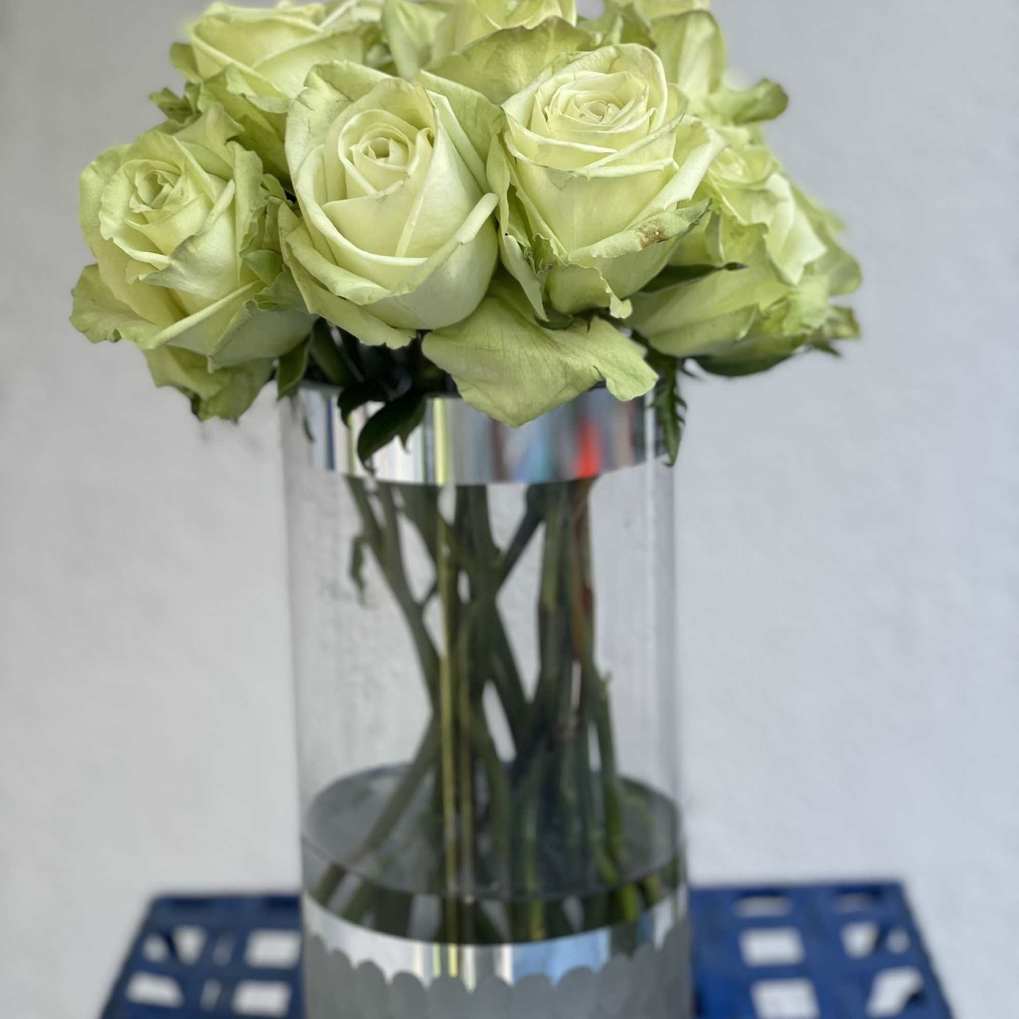 13 gorgeous long stem green roses arranged in an elegant glass vase