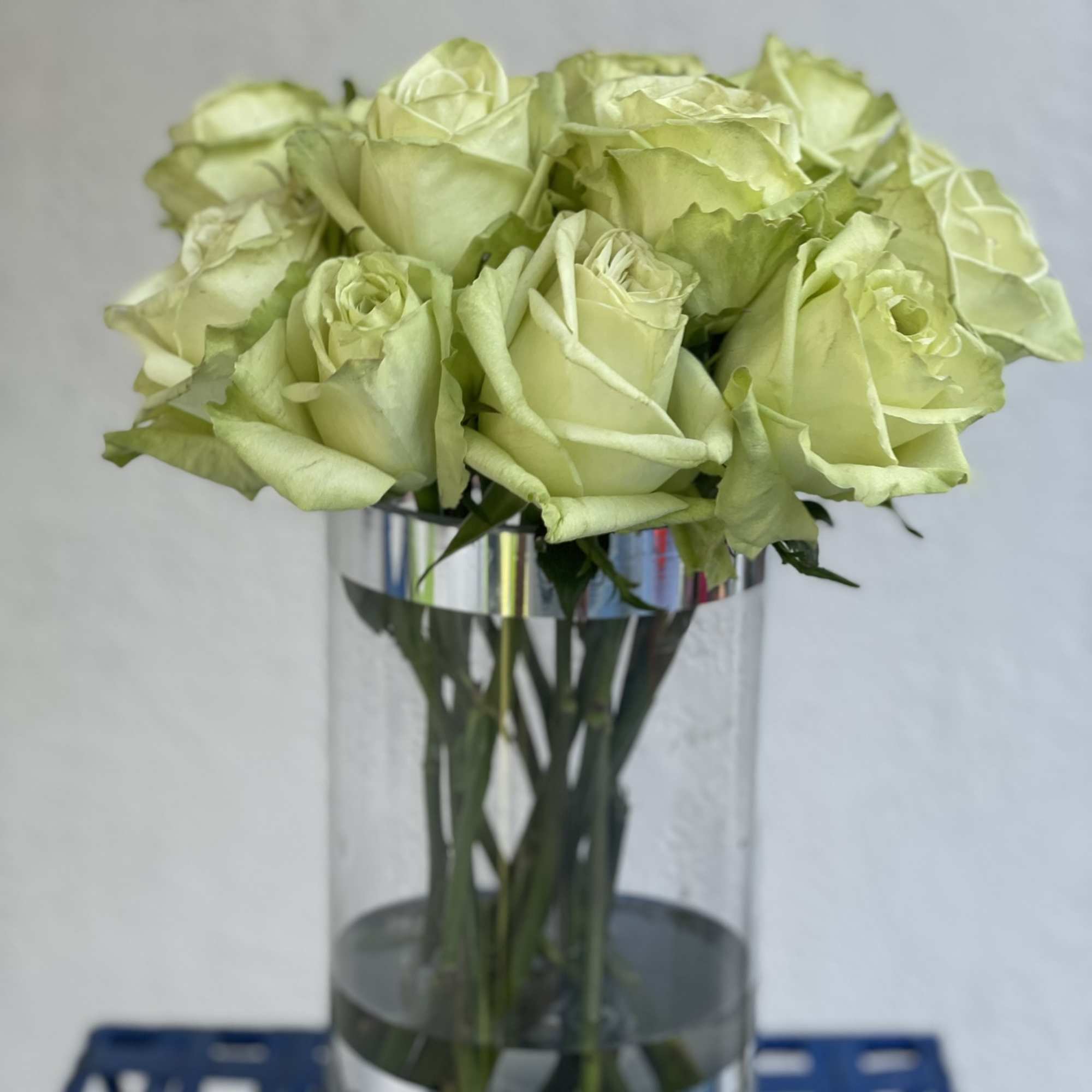 13 gorgeous long stem green roses arranged in an elegant glass vase