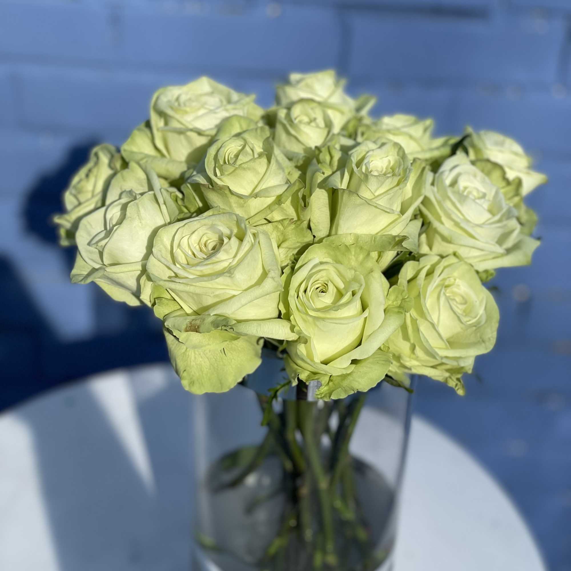 13 gorgeous long stem green roses arranged in an elegant glass vase
