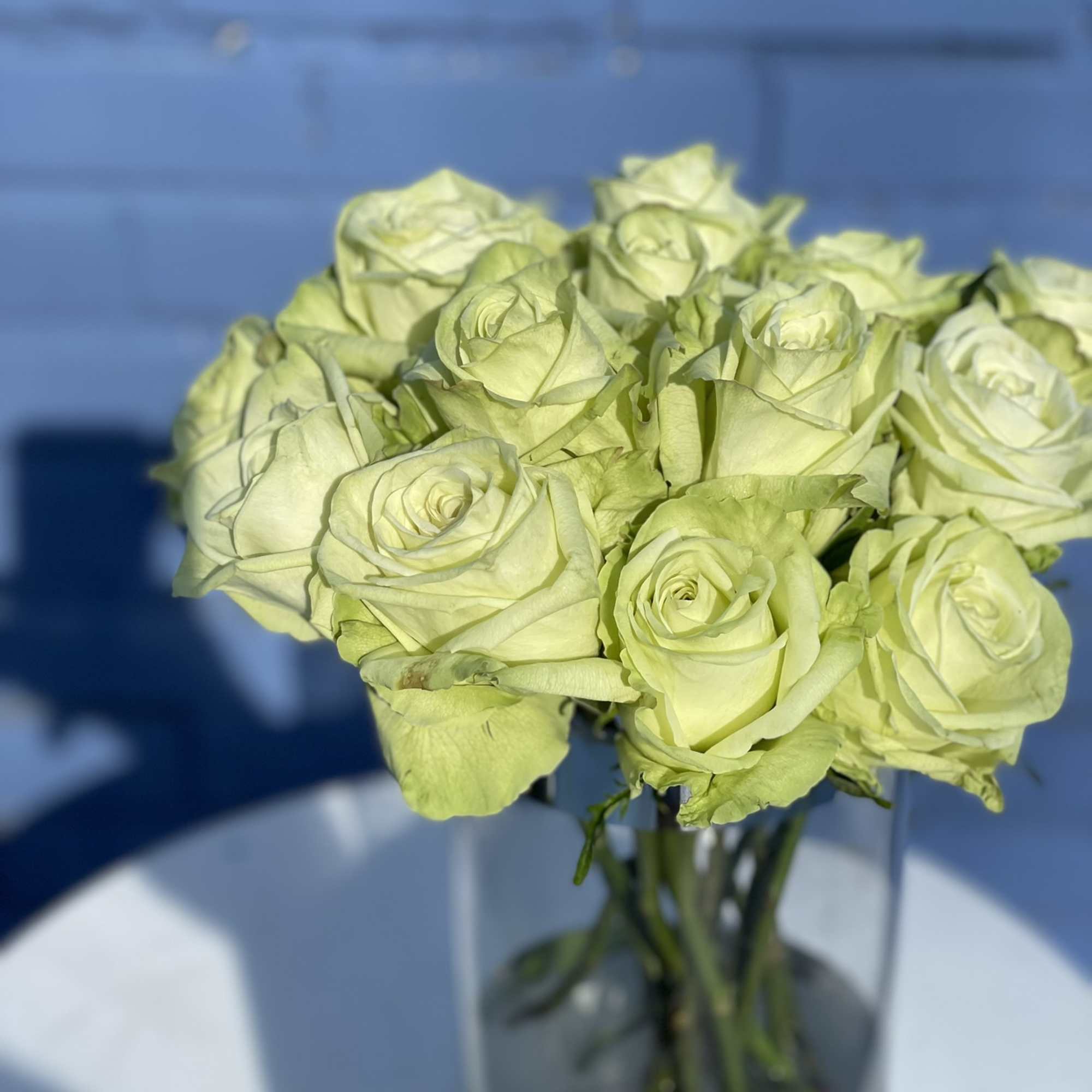 13 gorgeous long stem green roses arranged in an elegant glass vase