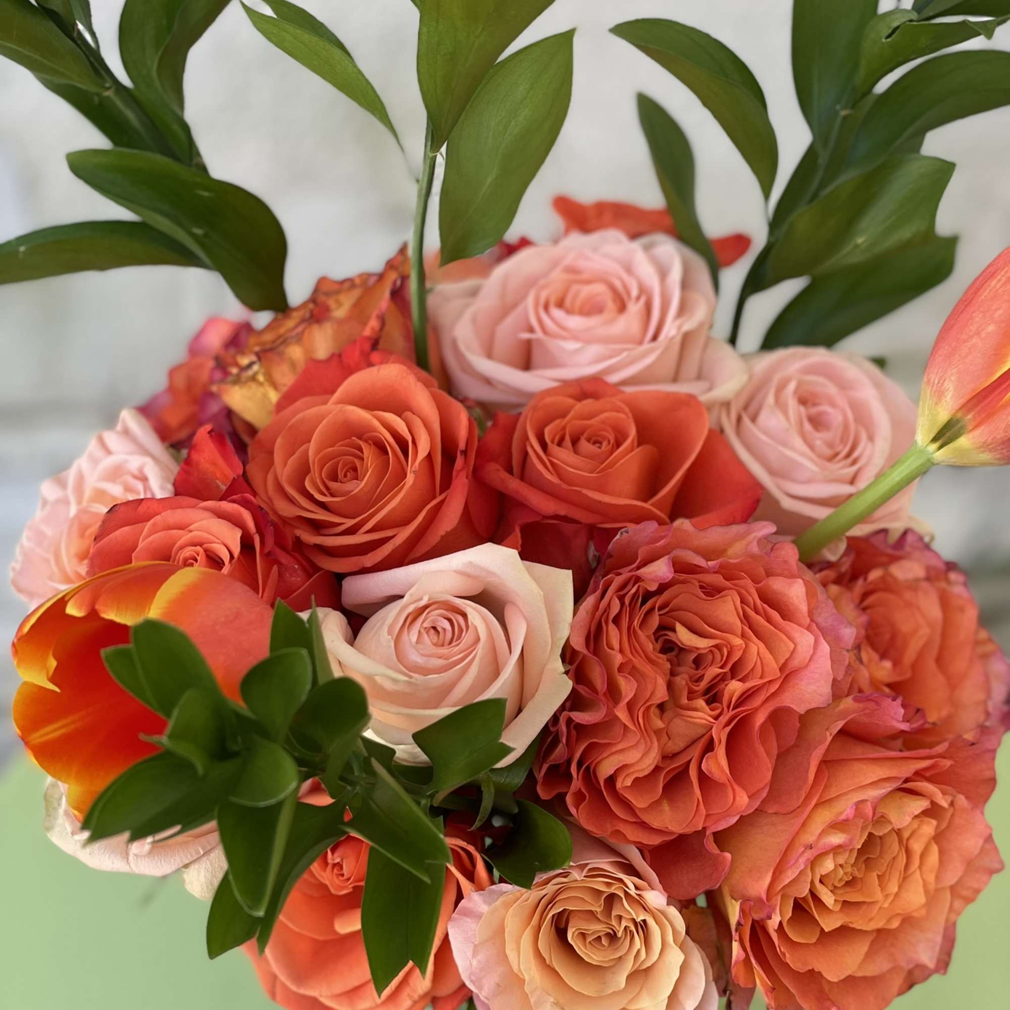 This arrangement is a beautiful combination of garden roses,tulips, and roses in