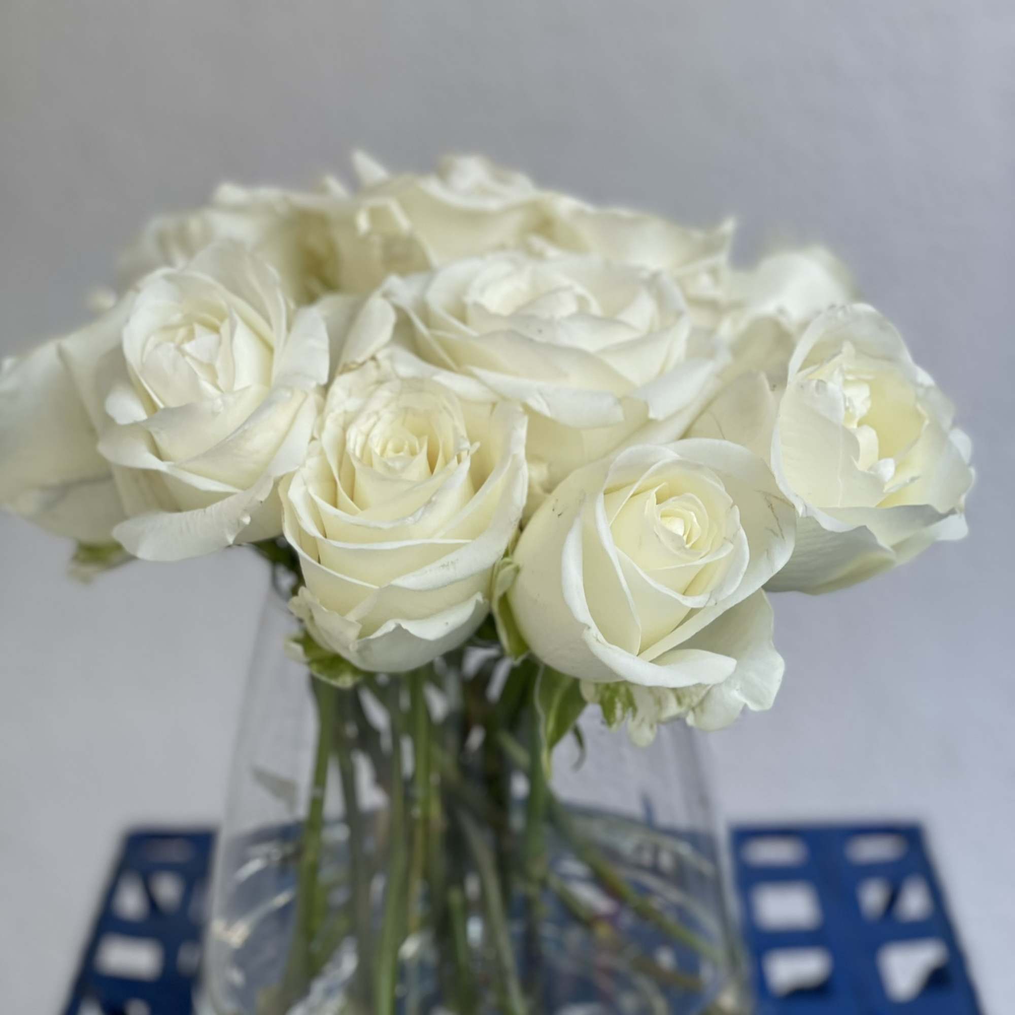 13 Beautiful, timeless long stem white roses arranged in an elegant vase