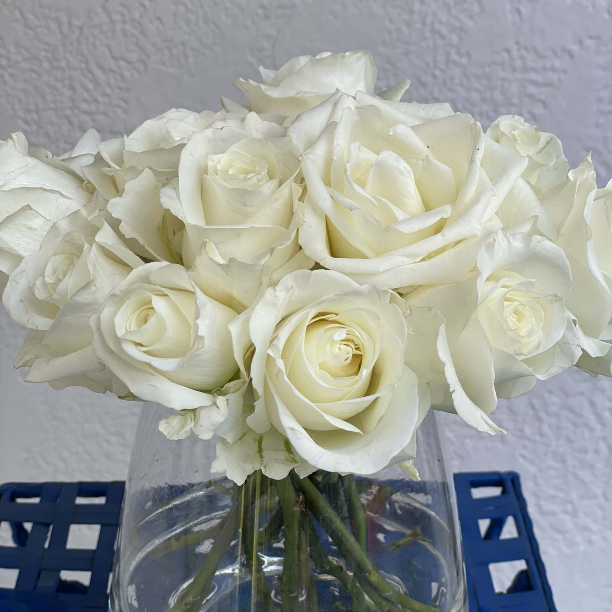 13 Beautiful, timeless long stem white roses arranged in an elegant vase
