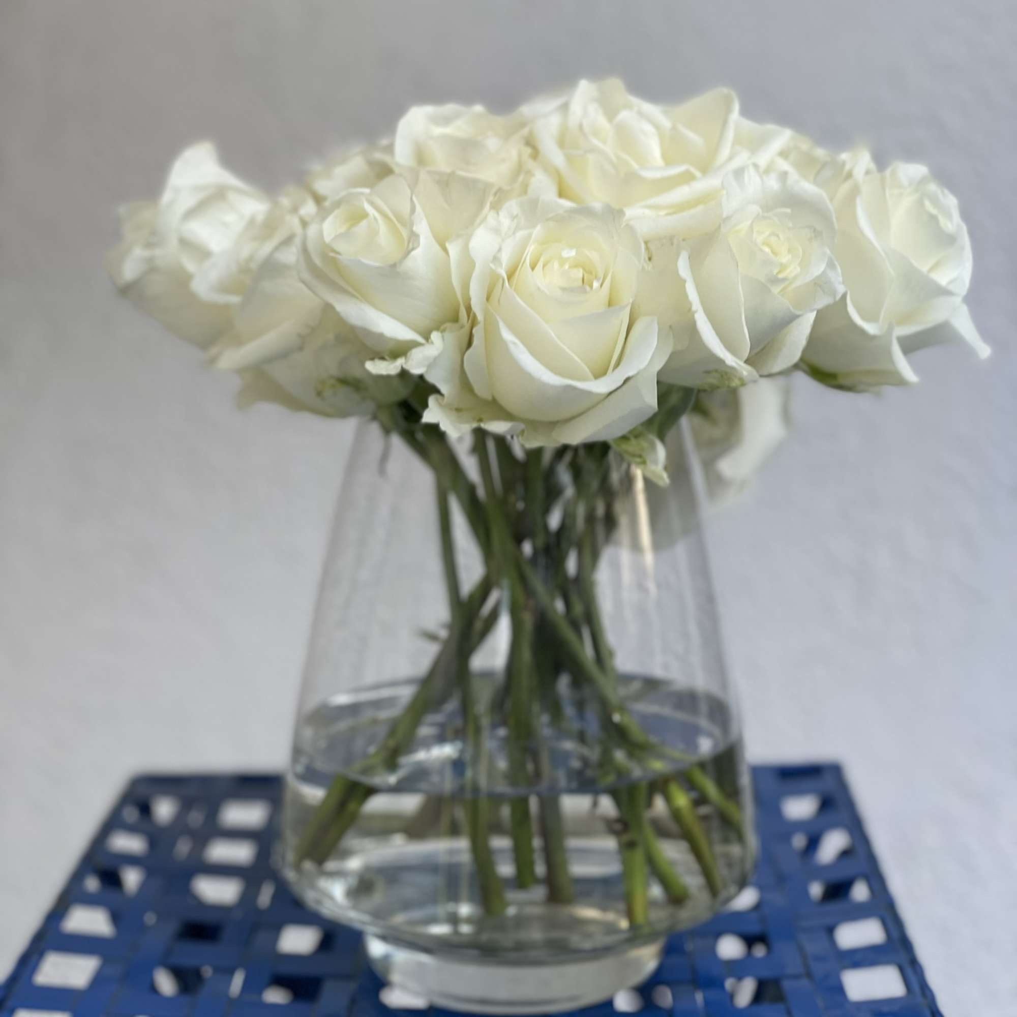 13 Beautiful, timeless long stem white roses arranged in an elegant vase