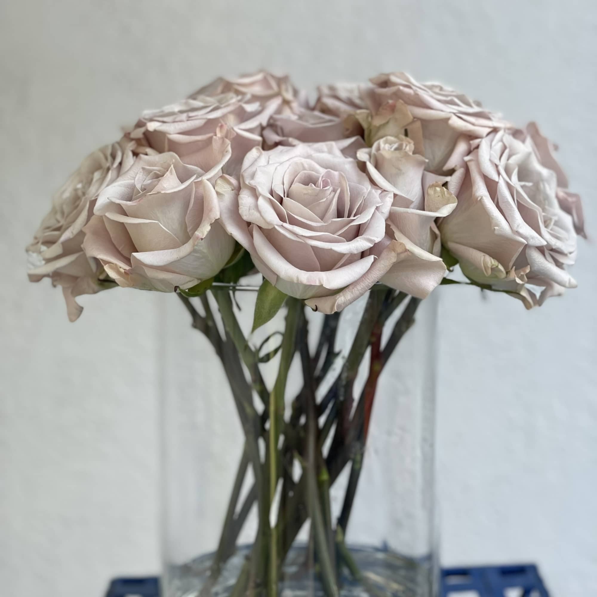 13 Gorgeous and unique quicksand roses arranged in an elegant vase