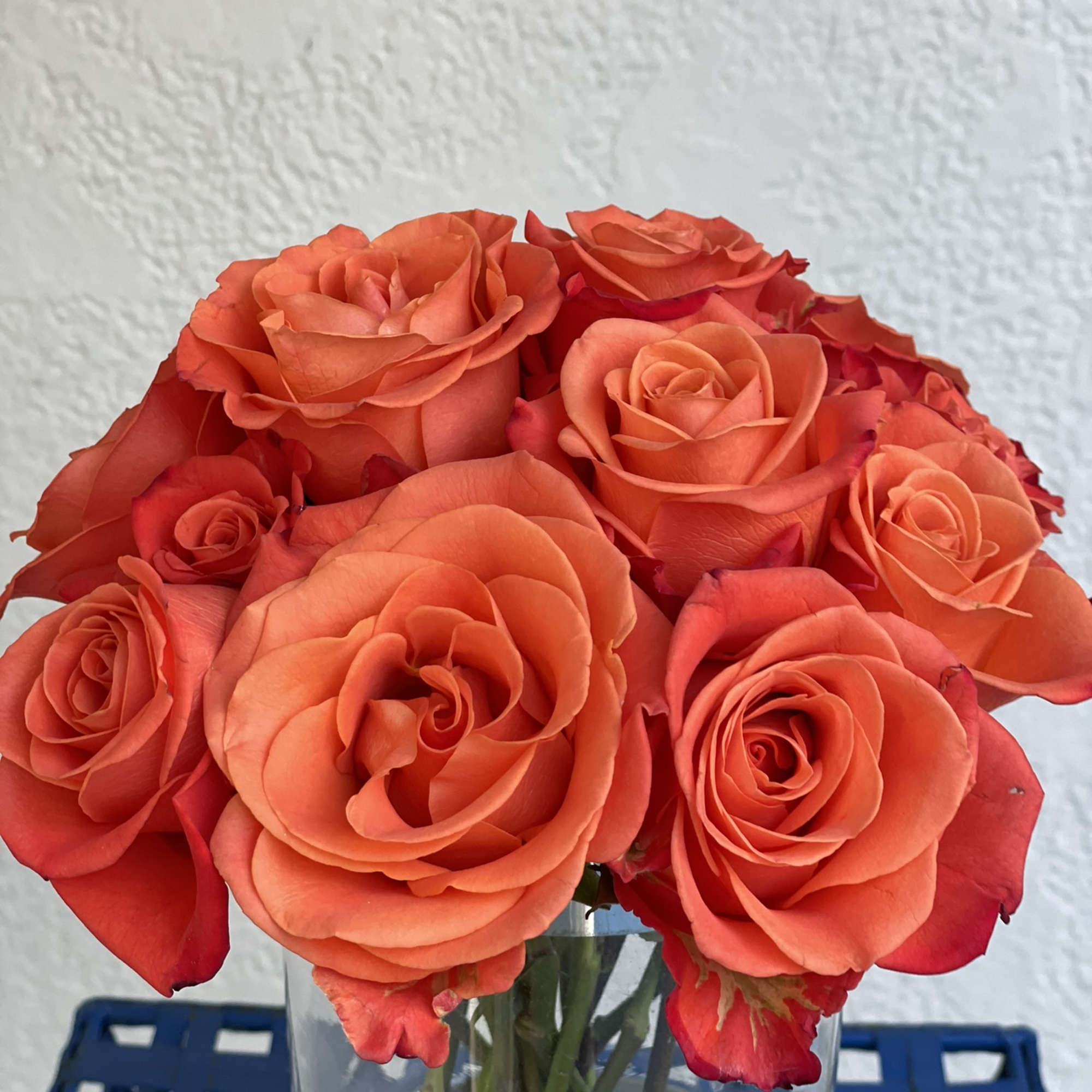 13 long stem Orange roses with an smooth, elegant tangerine center arranged