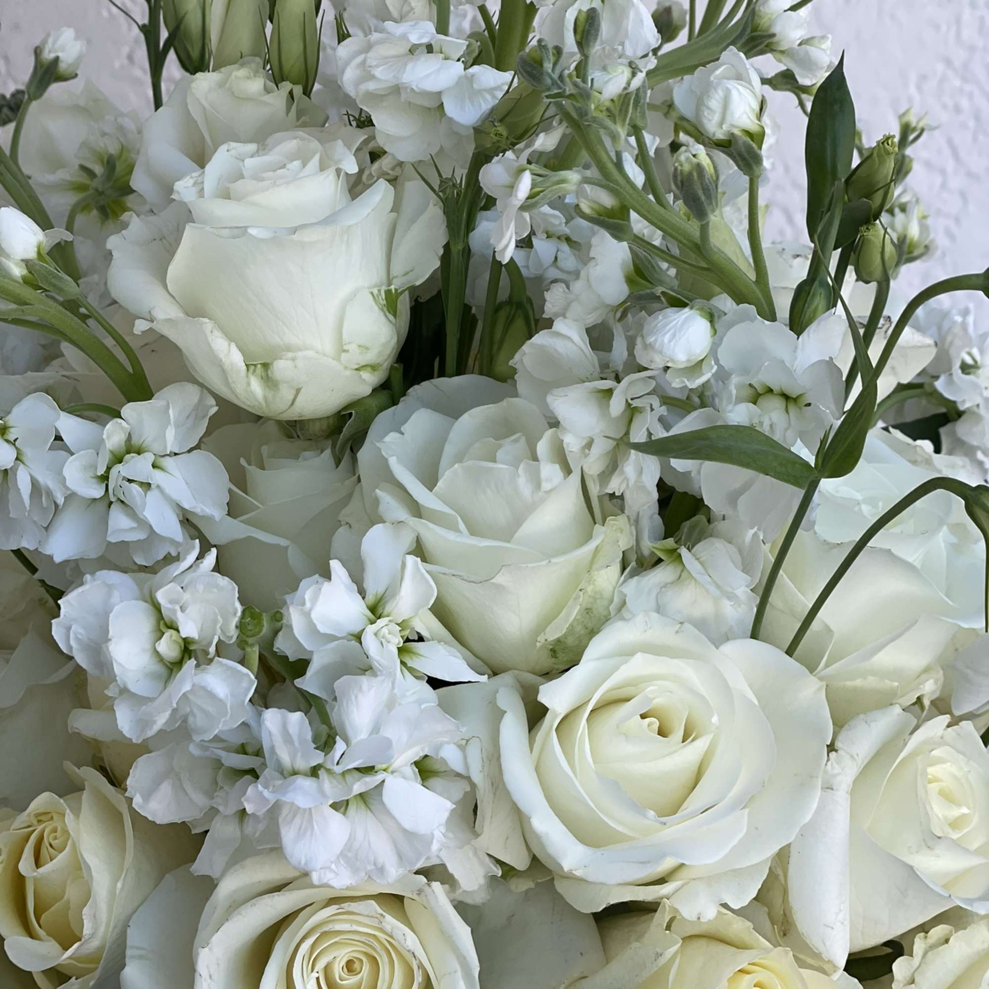 This classic combination of white blooms is so gorgeous and full, and