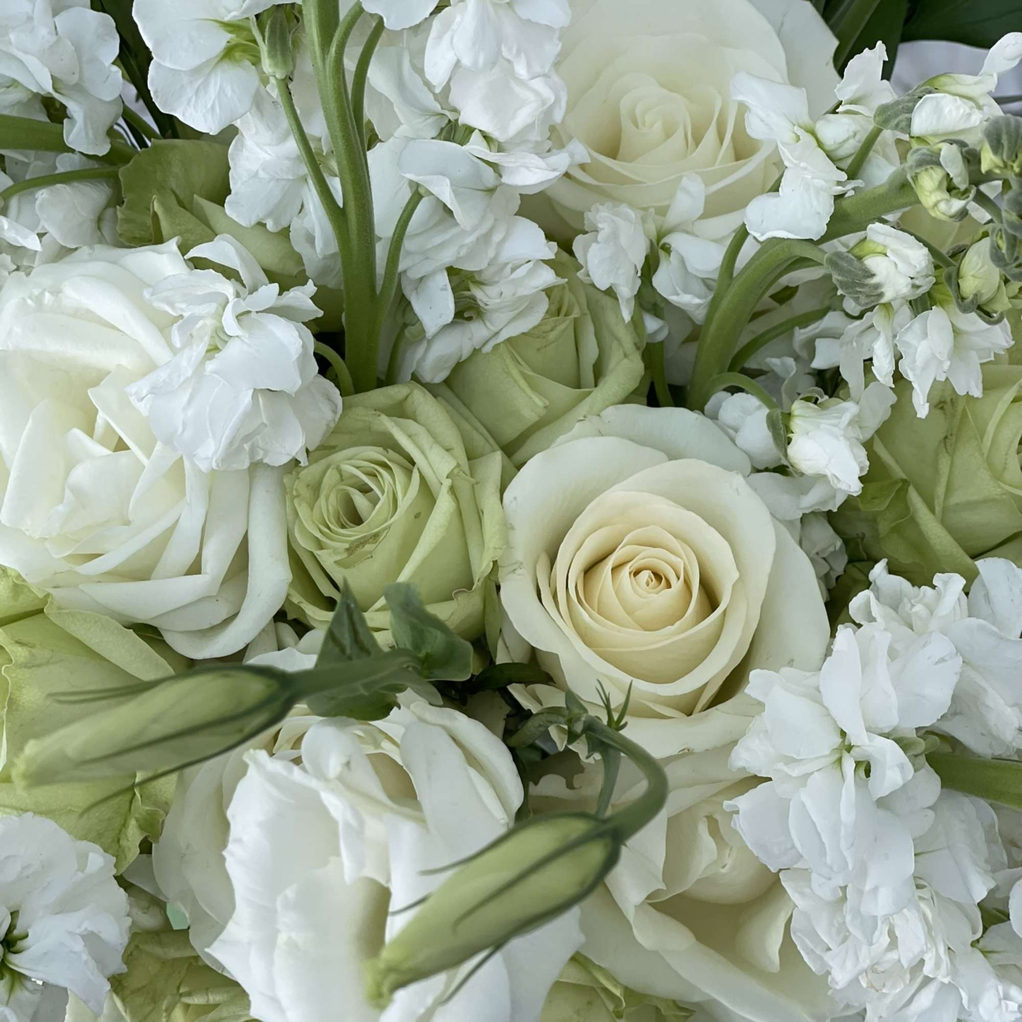 This classic combination of green and white is as elegant as it