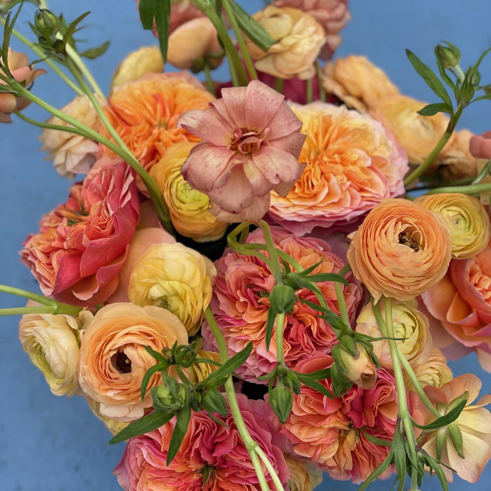 This rich and beautiful display is as unique as it is radiant.