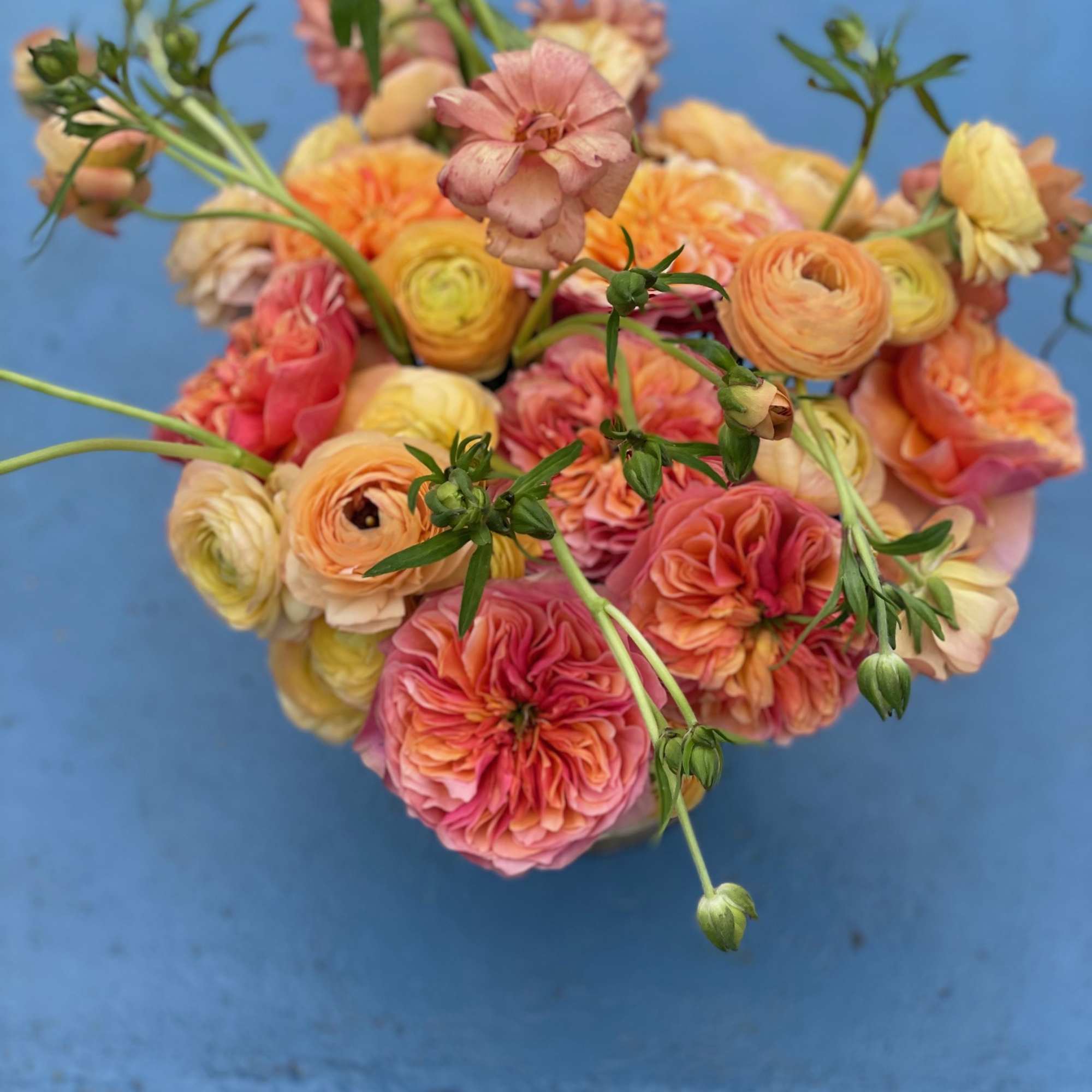 This rich and beautiful display is as unique as it is radiant.