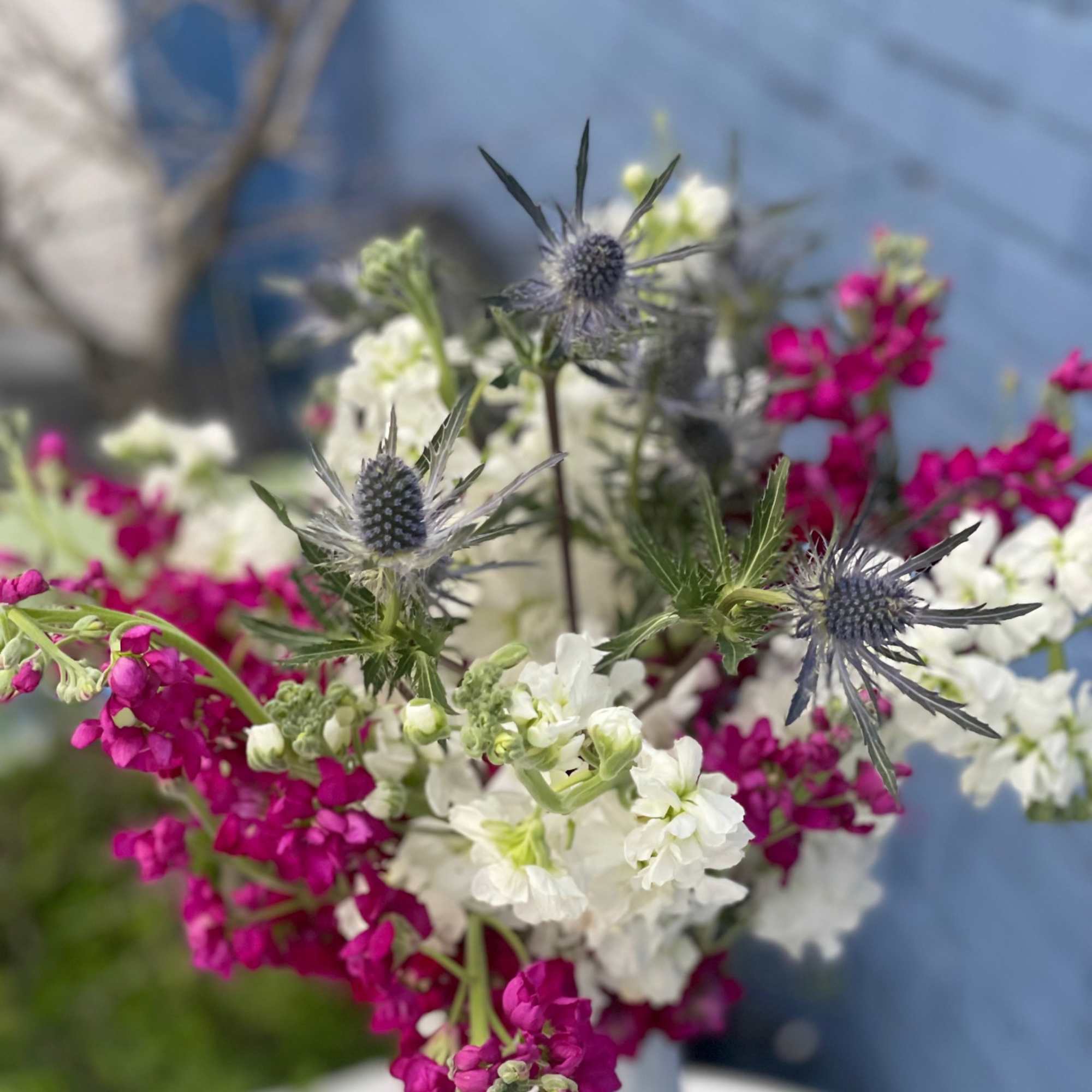 This simple arrangement is packed with blooms and filled with fragrance! The