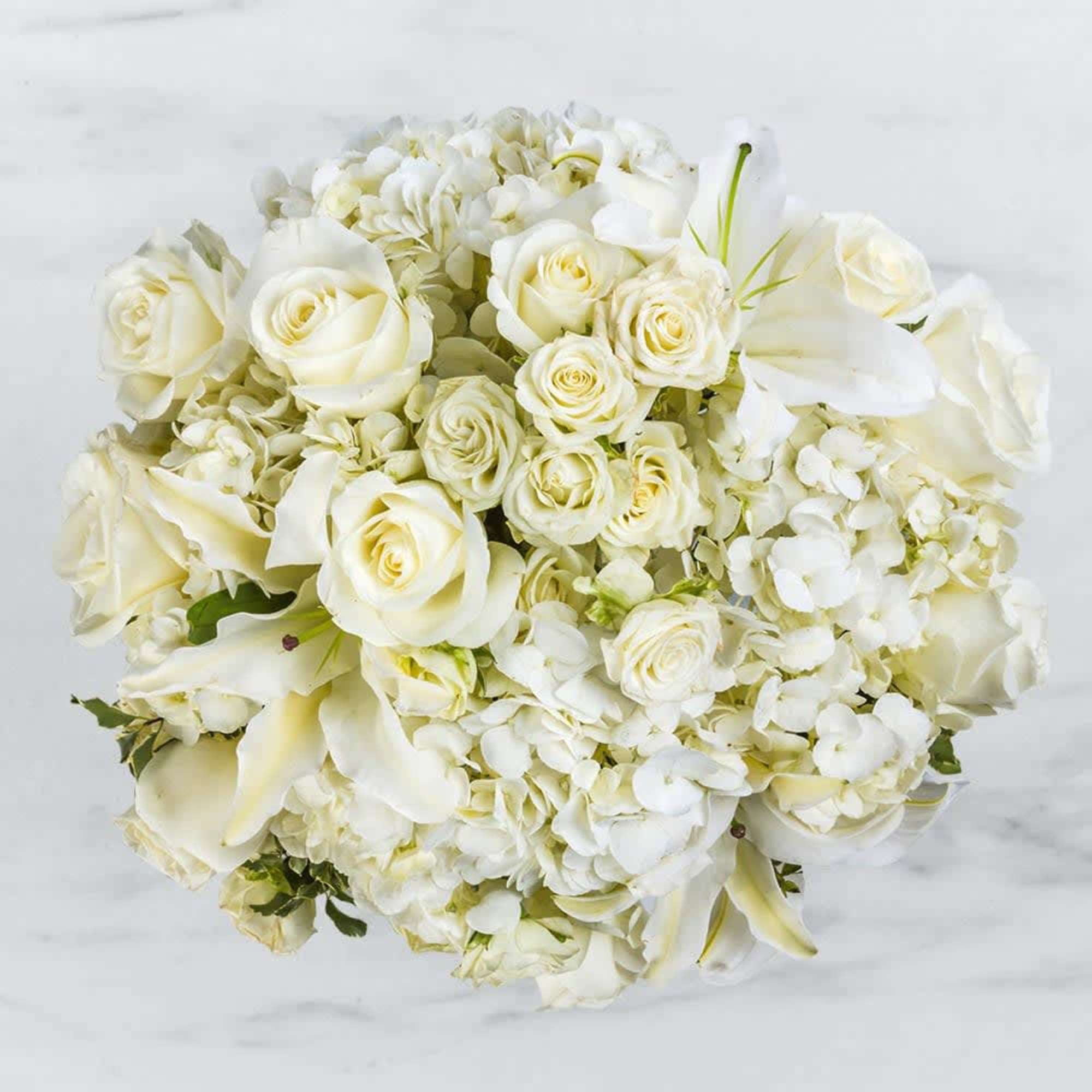 Snow can be a controversial topic. It&rsquo;s a gift from the friendly