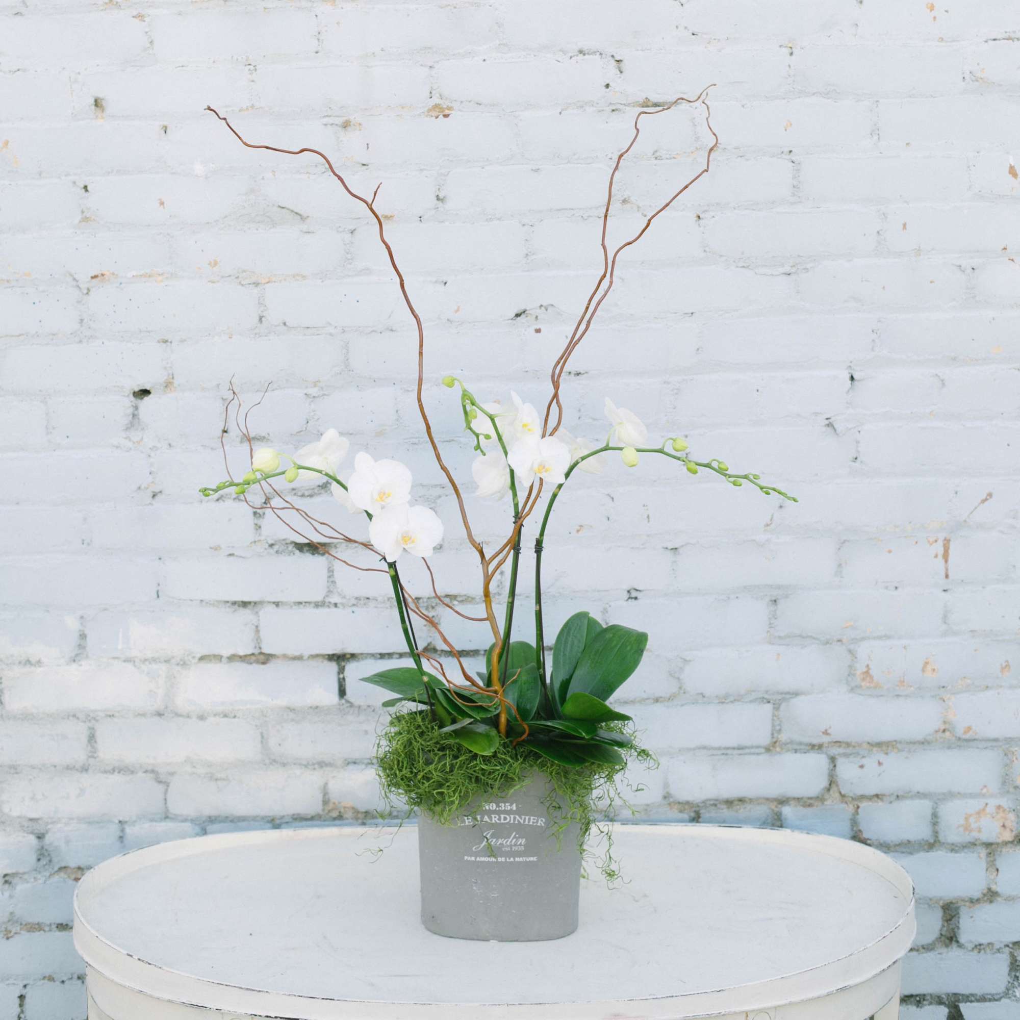 White phalaenopsis orchids, curly willow, moss and a unique ceramic jar! 
(Photo White phalaenopsis orchids, curly willow, moss and a unique ceramic jar! 
(Photo