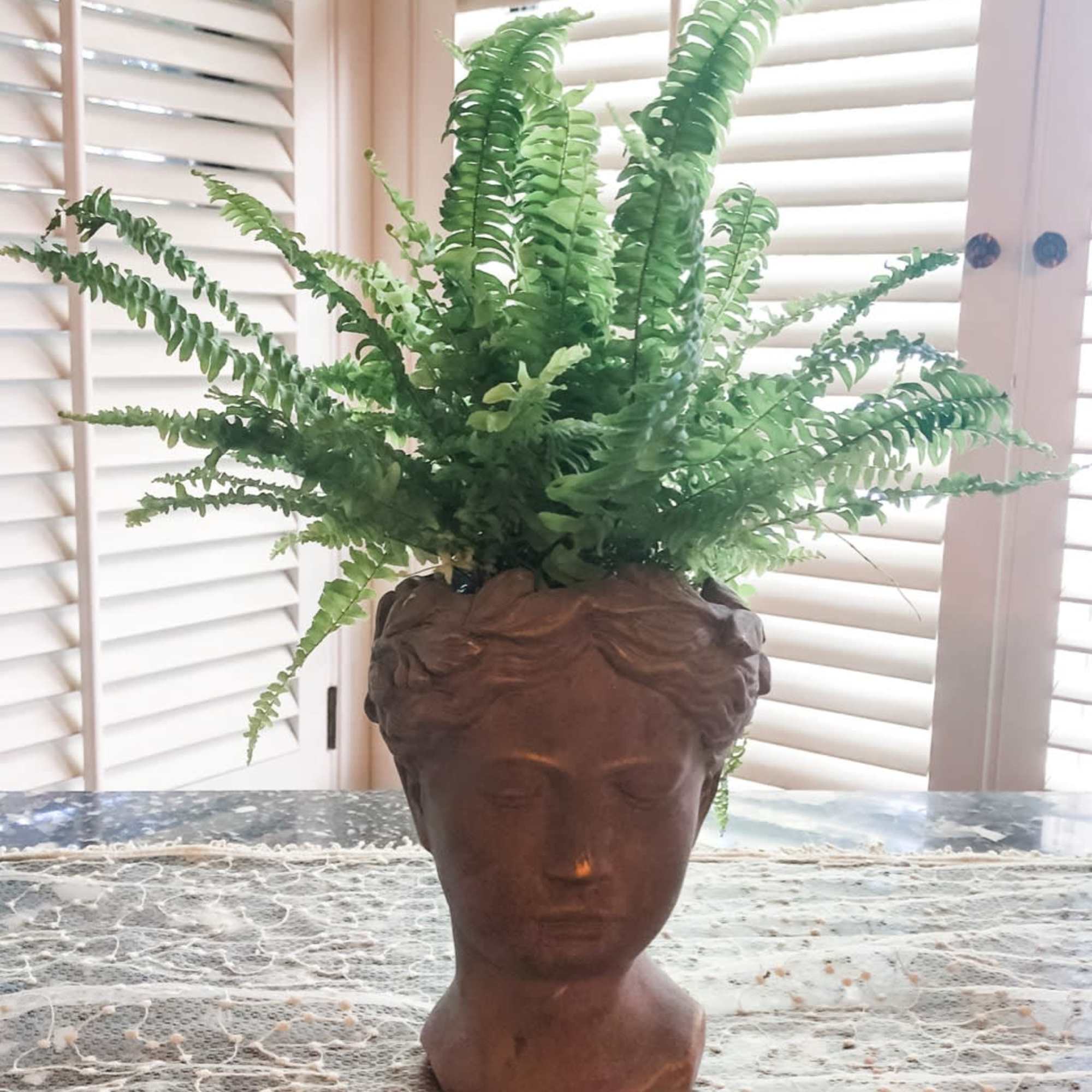 The elegant ceramic art nouveau-inspired bust displays a hearty house plant (may