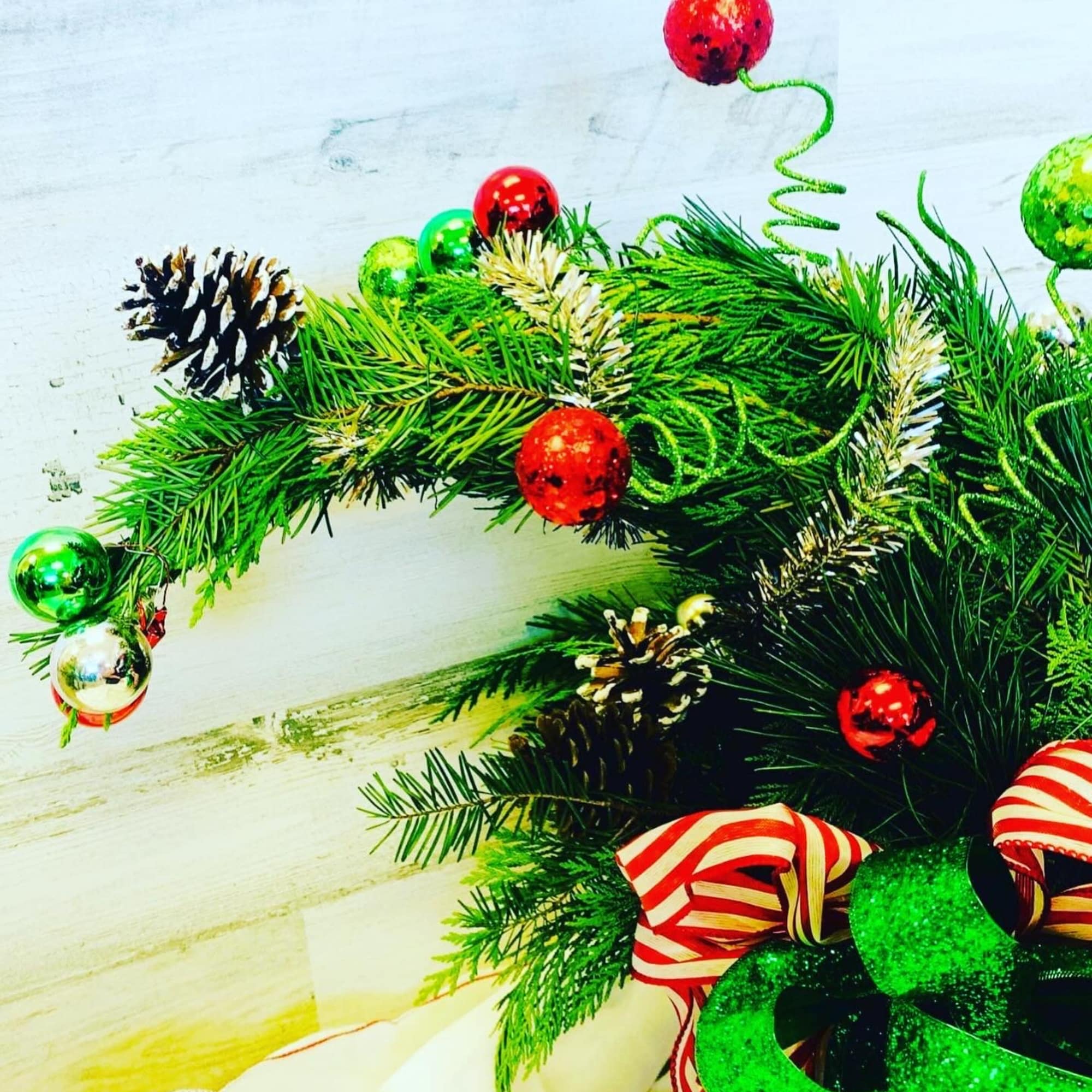 Give Cindy Lou’s Tree that was stolen the night before Christmas; from Give Cindy Lou’s Tree that was stolen the night before Christmas; from