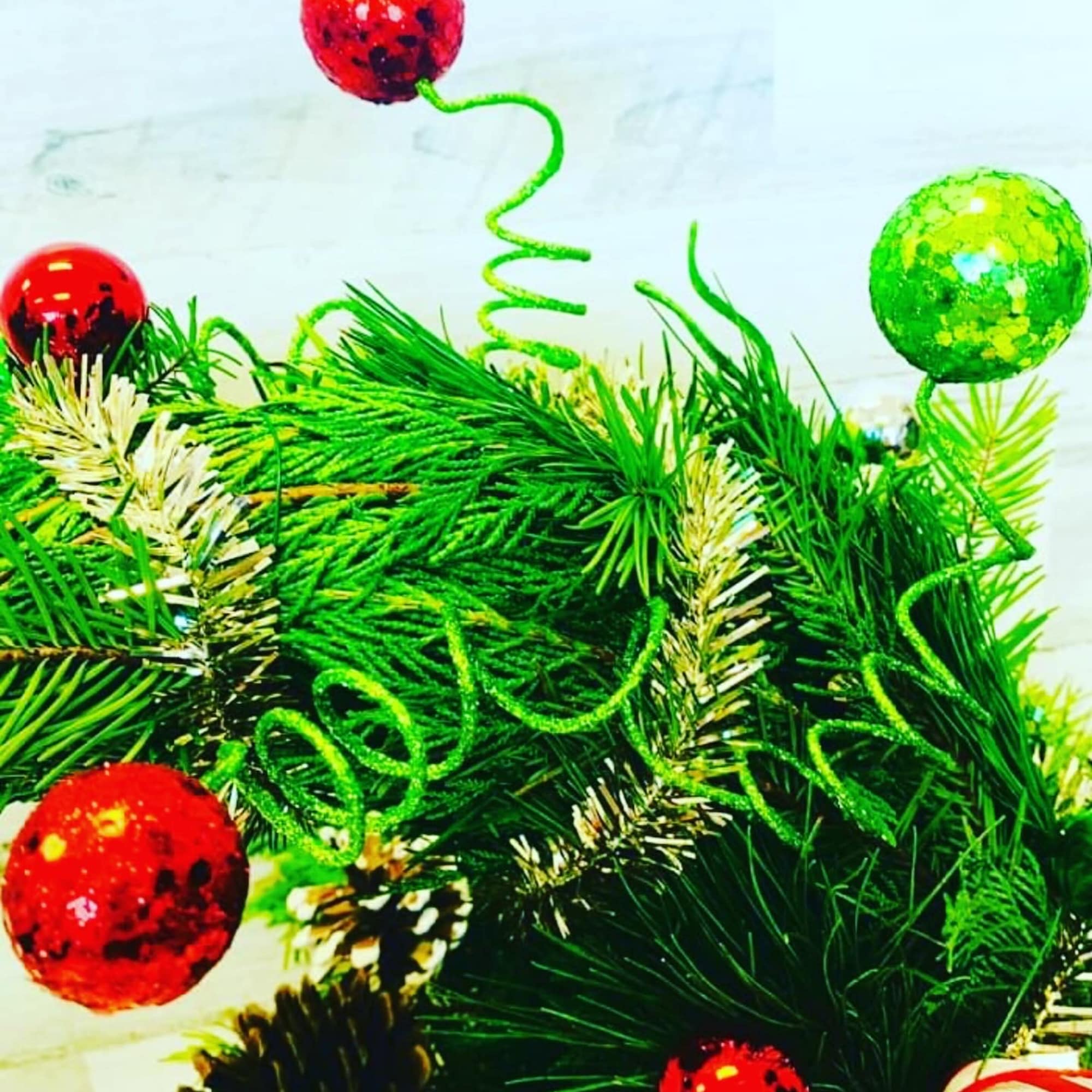 Give Cindy Lou’s Tree that was stolen the night before Christmas; from Give Cindy Lou’s Tree that was stolen the night before Christmas; from
