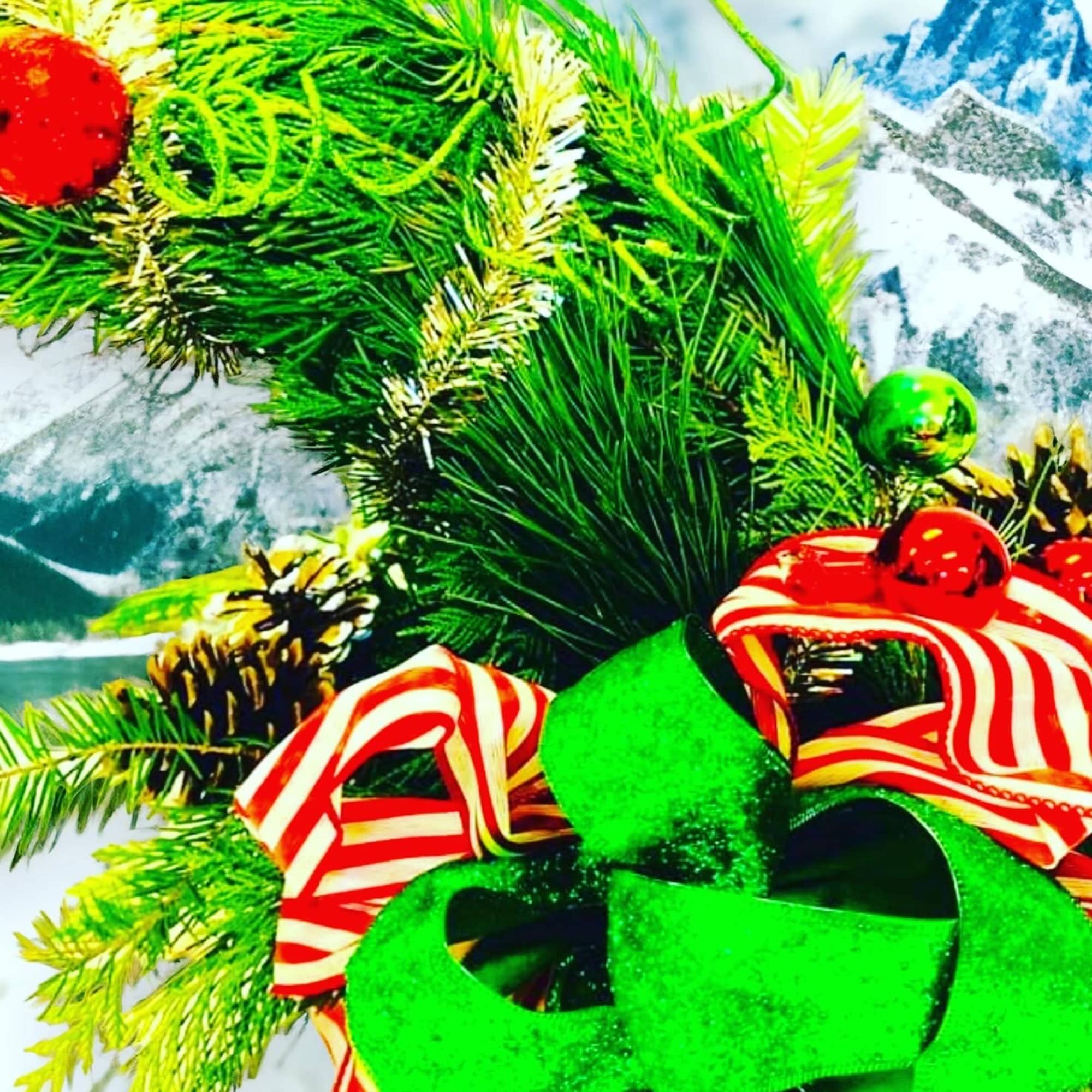 Give Cindy Lou’s Tree that was stolen the night before Christmas; from Give Cindy Lou’s Tree that was stolen the night before Christmas; from
