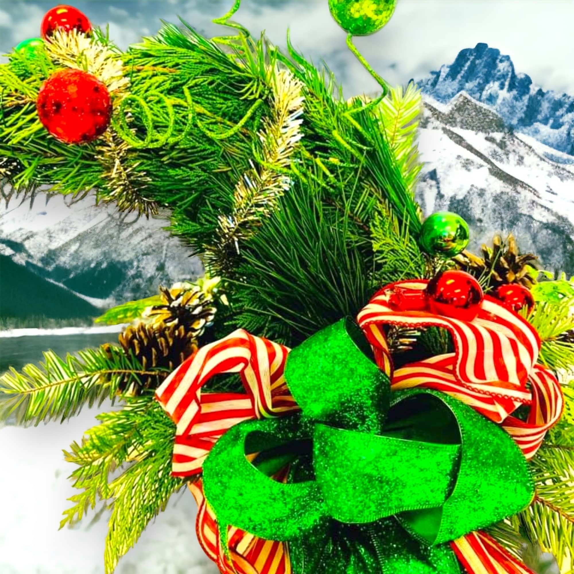 Give Cindy Lou’s Tree that was stolen the night before Christmas; from Give Cindy Lou’s Tree that was stolen the night before Christmas; from
