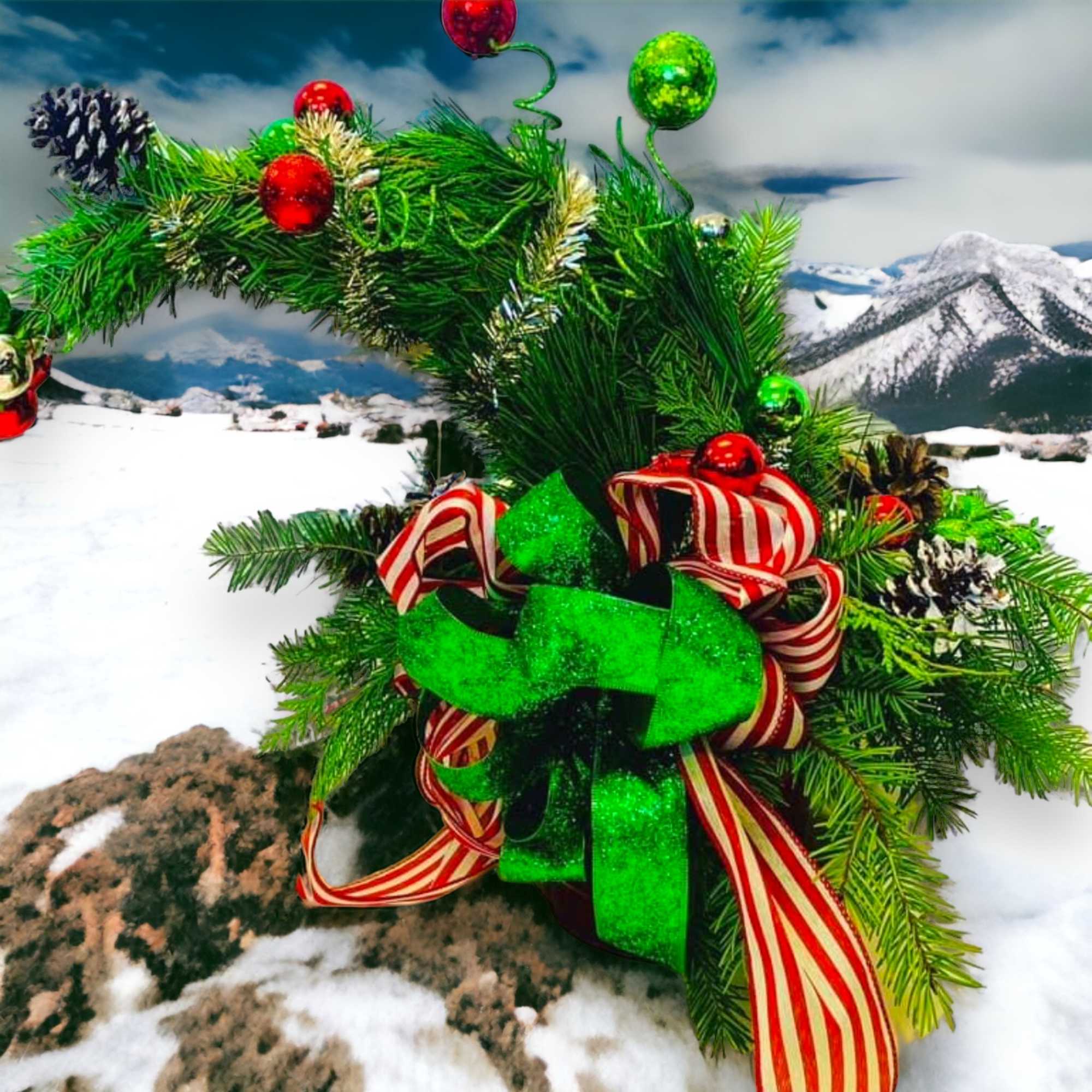 Give Cindy Lou’s Tree that was stolen the night before Christmas; from Give Cindy Lou’s Tree that was stolen the night before Christmas; from
