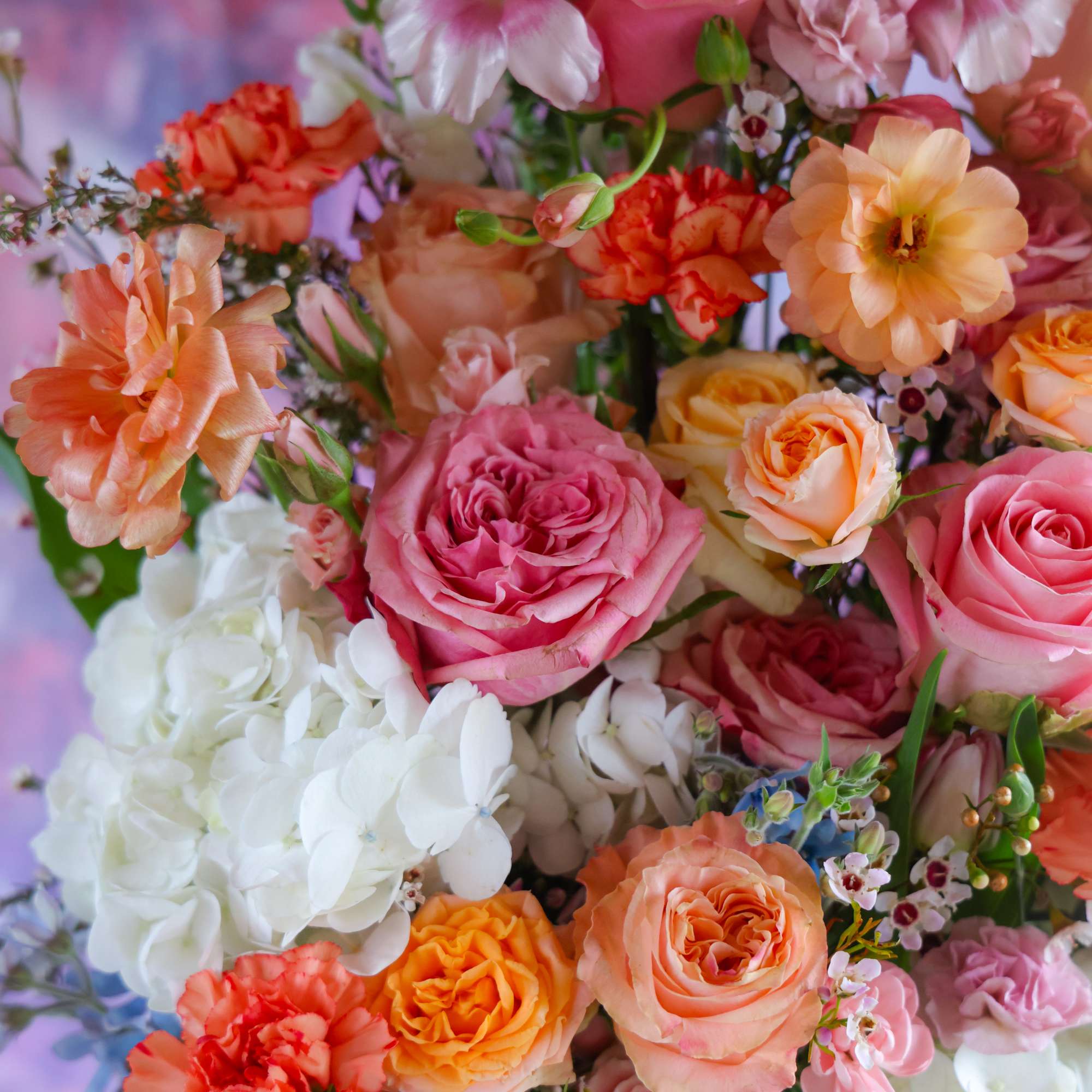 When OH MY and heartswoon is all that will do!
Take your loved