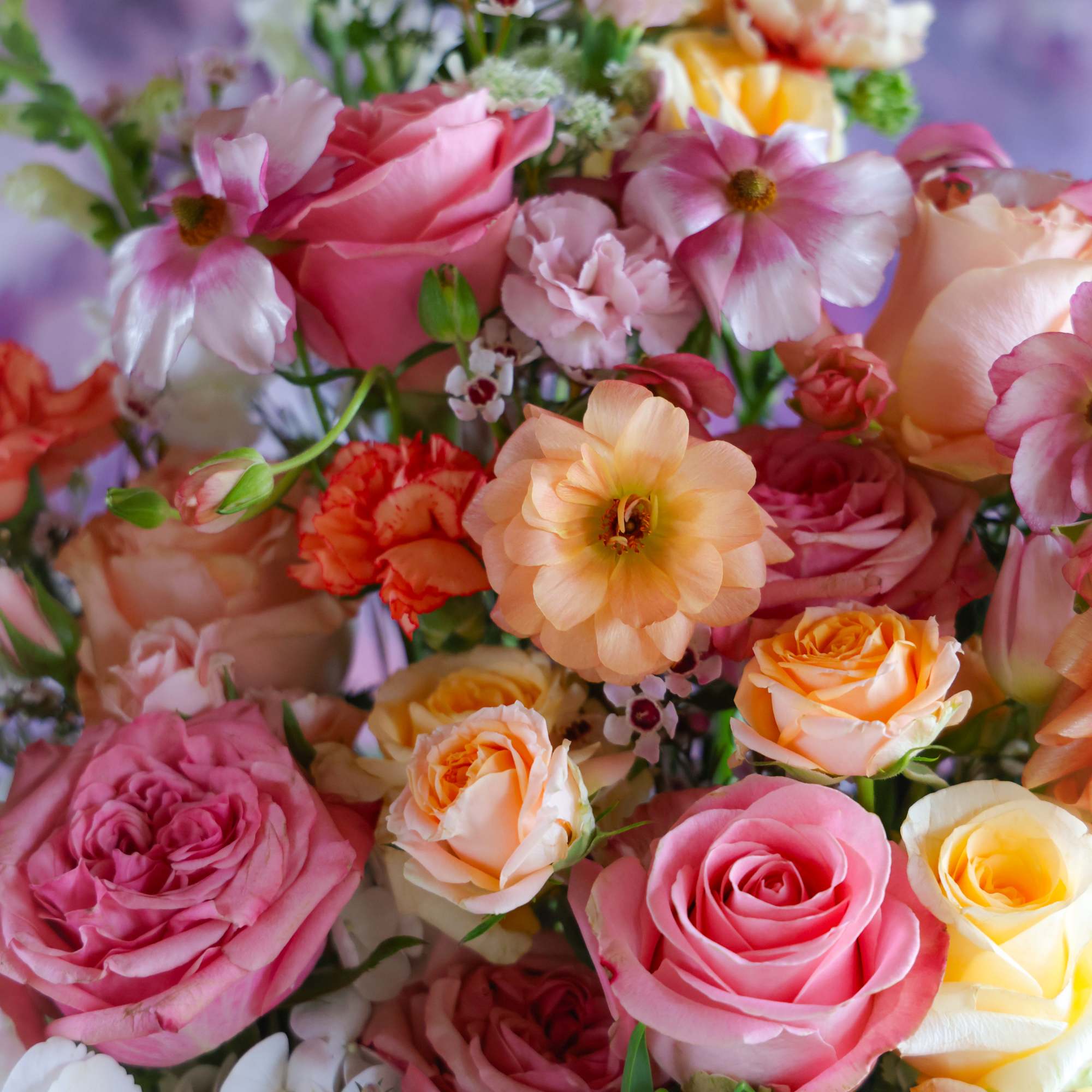 When OH MY and heartswoon is all that will do!
Take your loved