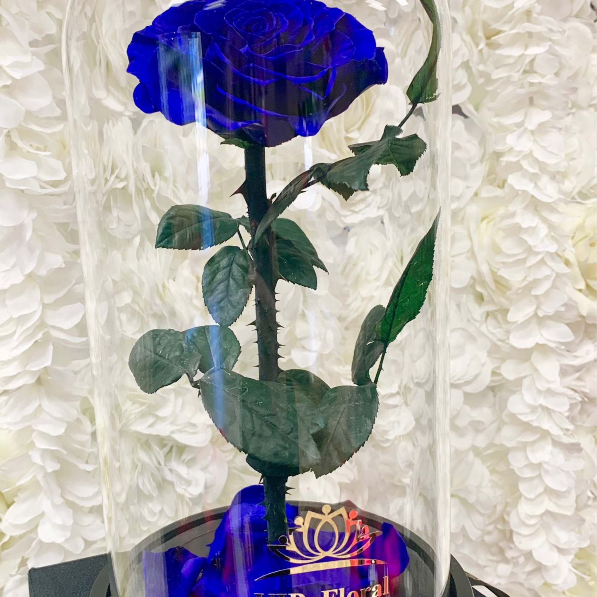 Preserved Roses are different from natural roses as they stay fresh and