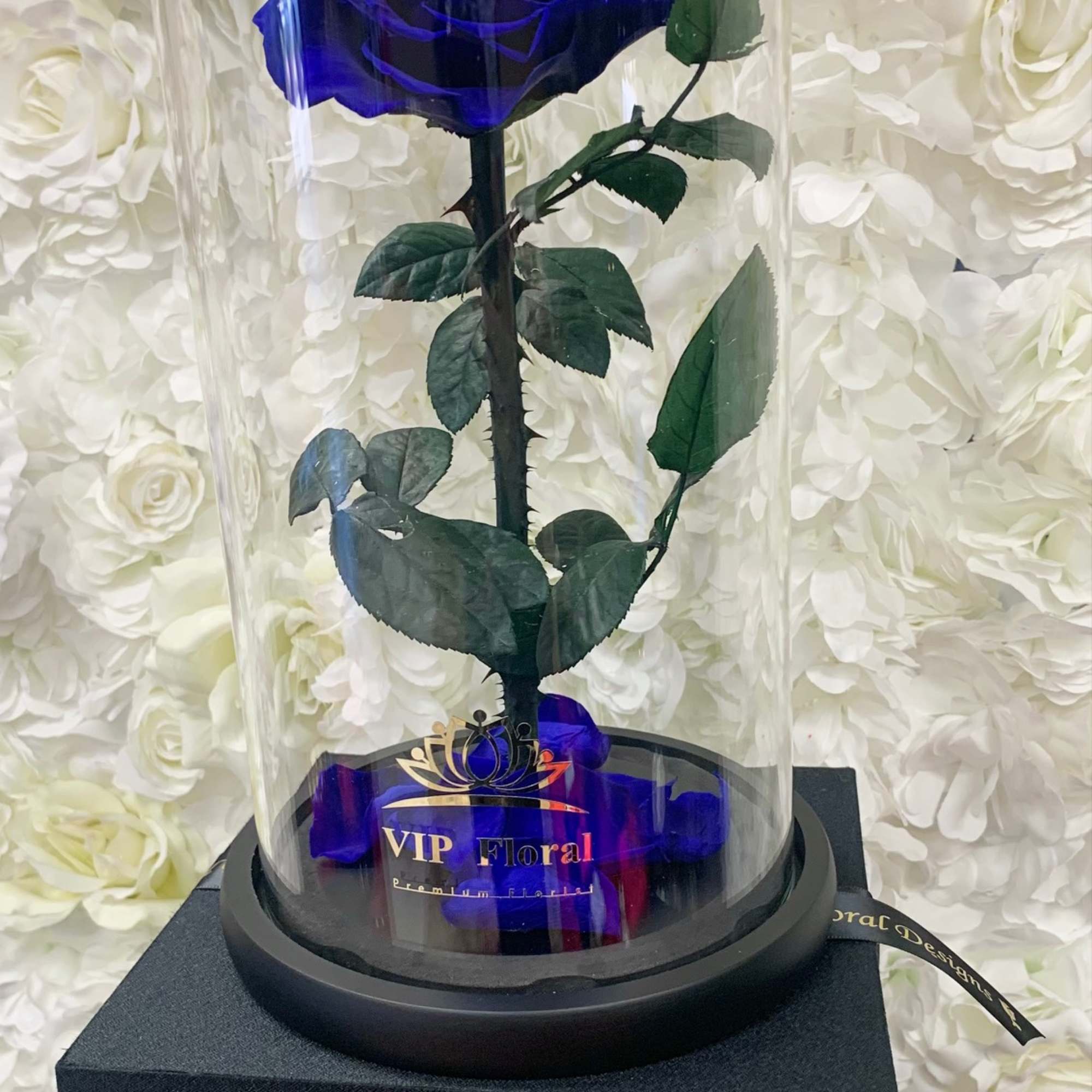 Preserved Roses are different from natural roses as they stay fresh and