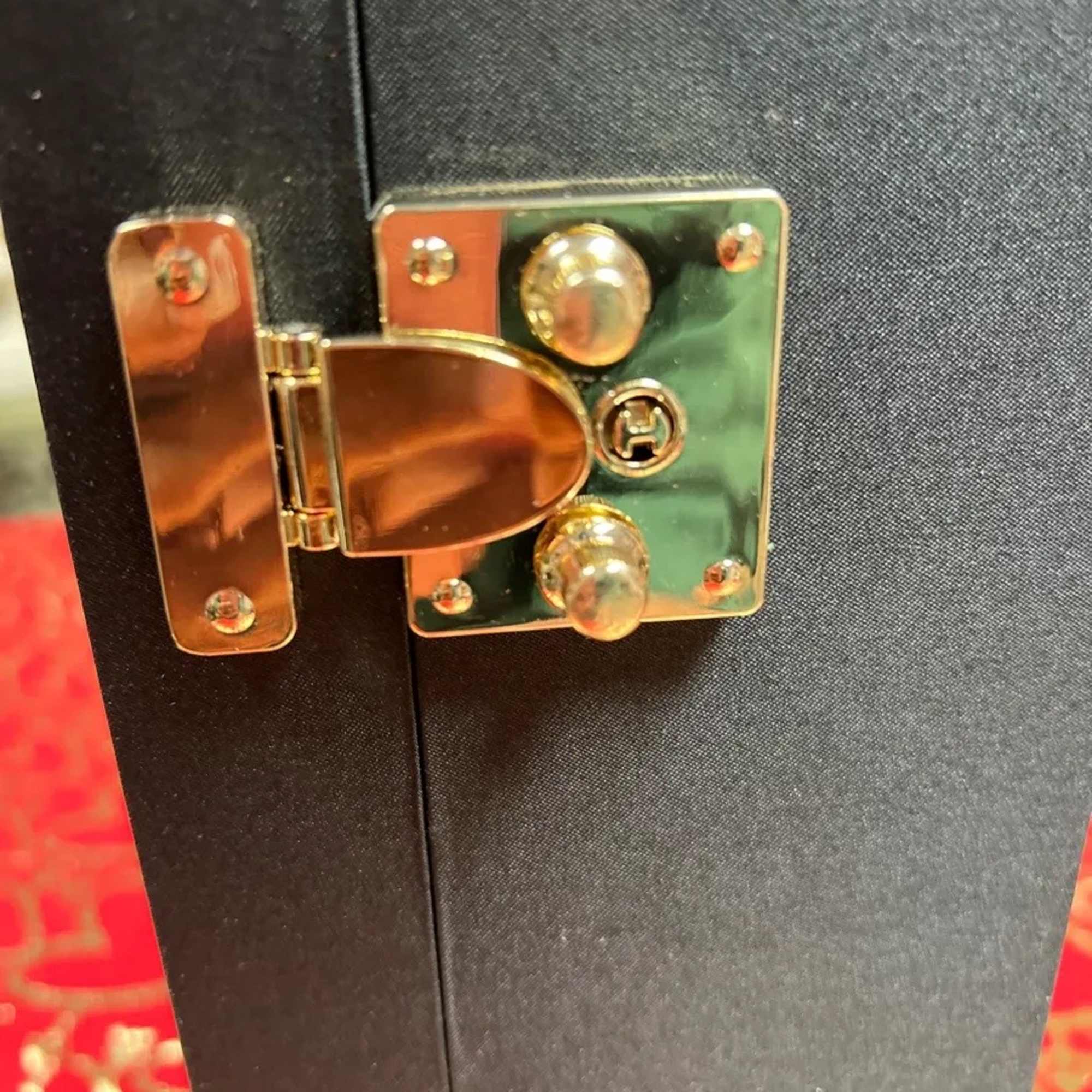 This ULTRA LUXURY LOVE &ldquo;carry-on&rdquo; is like nothing else available!  It