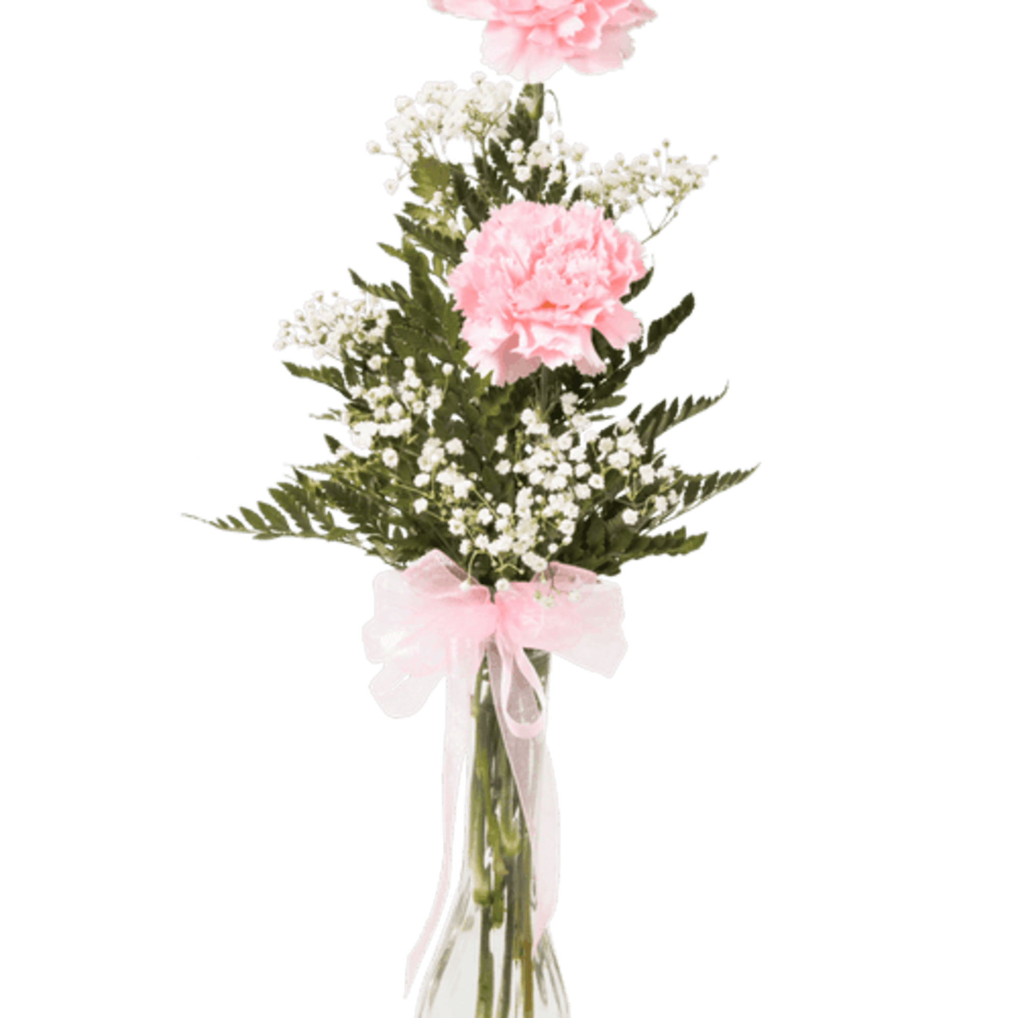 Carnation Vase in Swainsboro, GA | George's Flower Shop