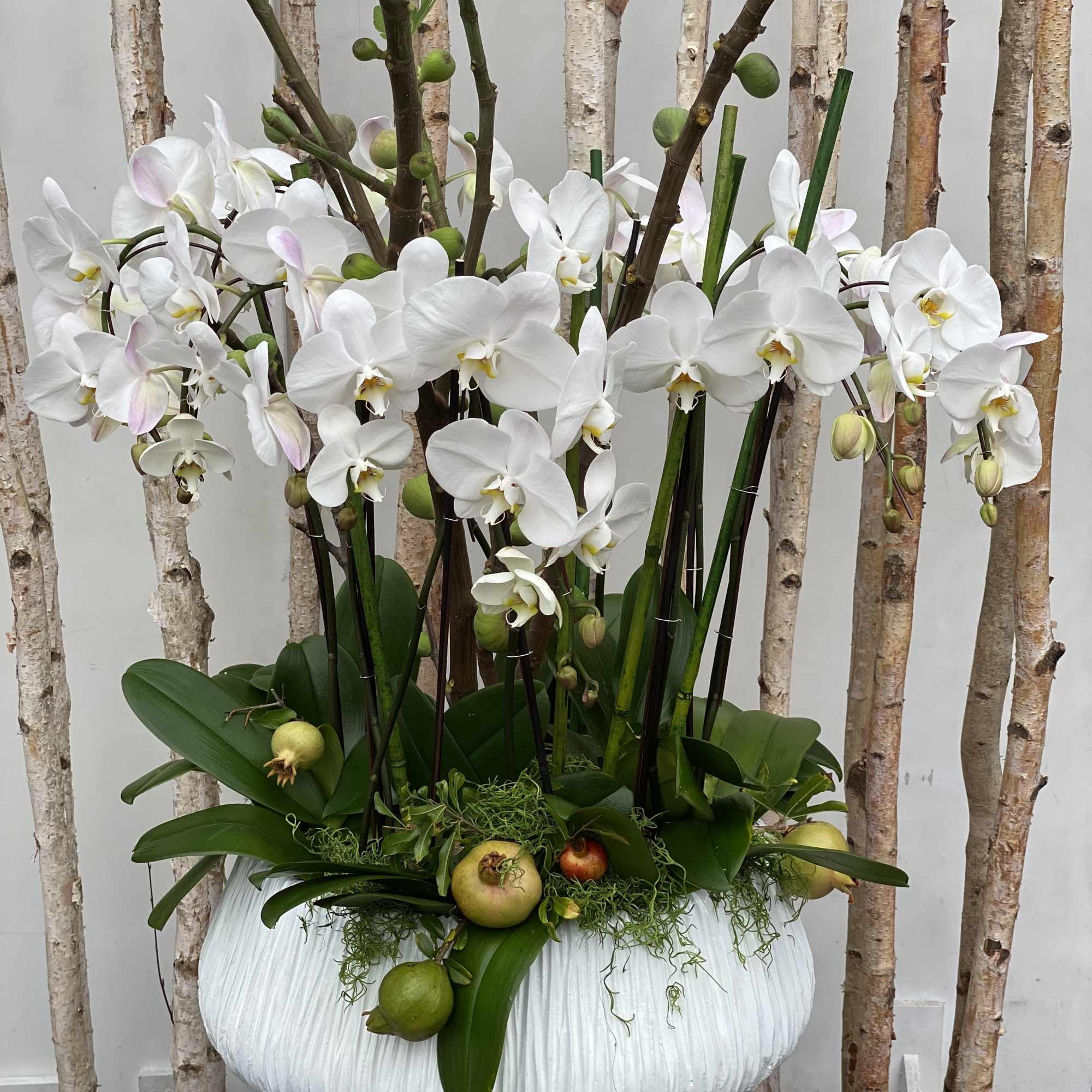 White Orchids beautifully arranged in a white ceramic up to 10 stems