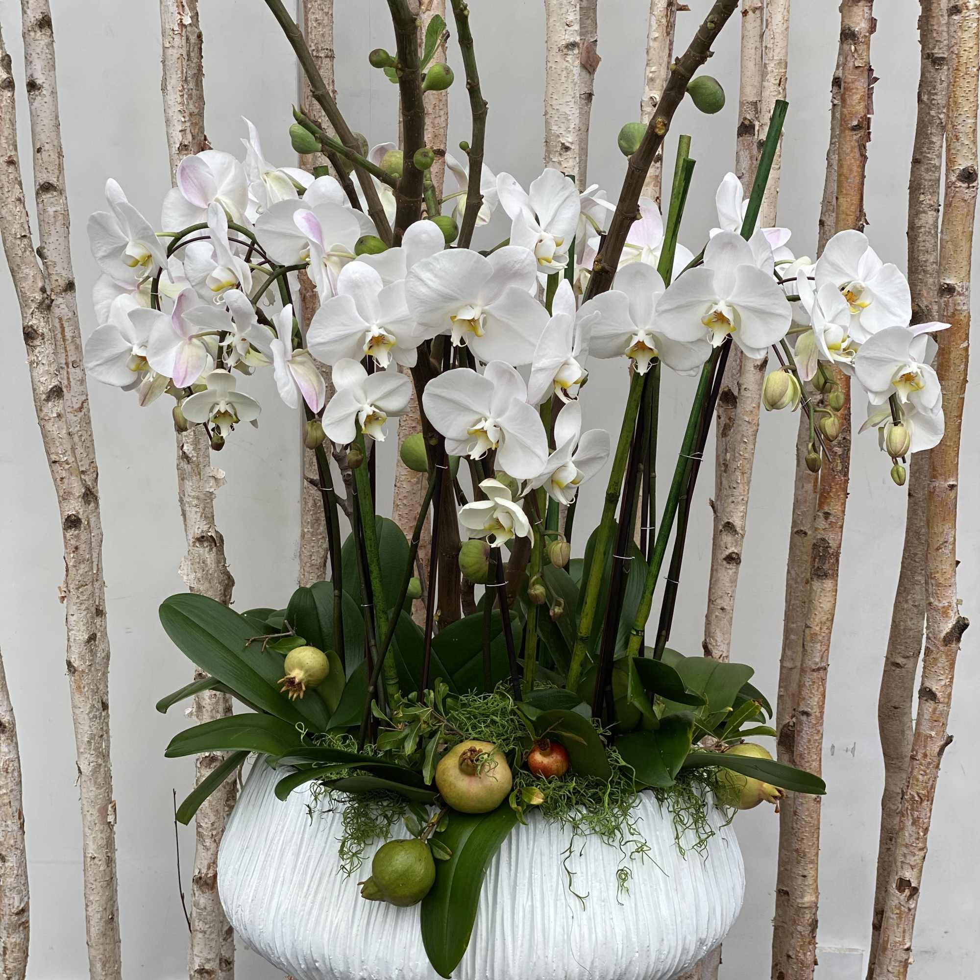 White Orchids beautifully arranged in a white ceramic up to 10 stems