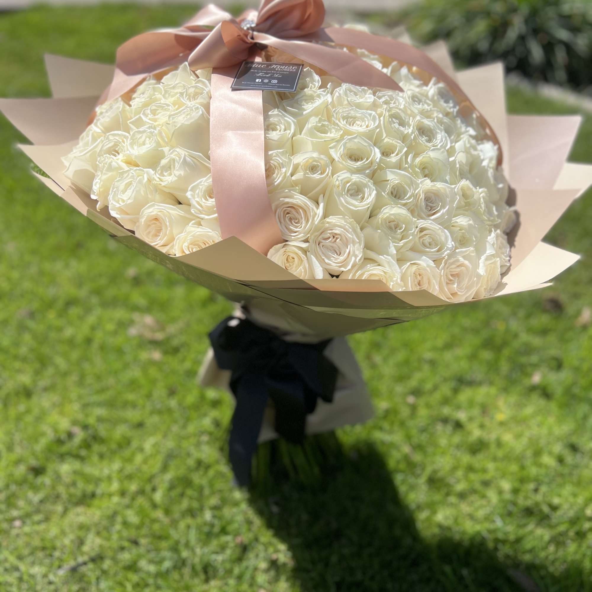 100 Long White Roses Wrapped Champagne.