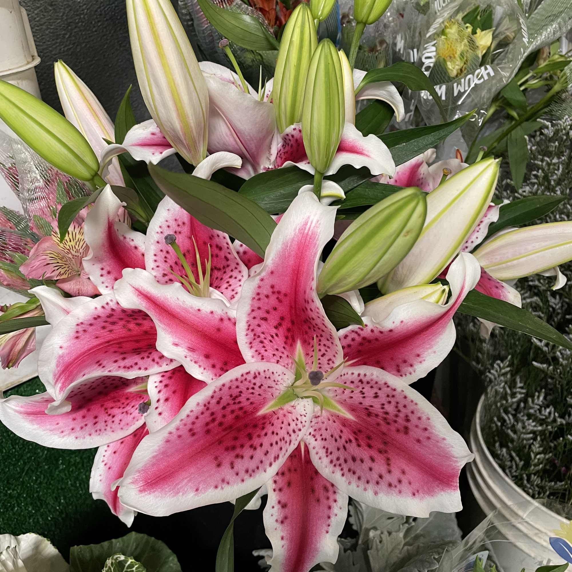 Beautiful arrangement in full blooms will be delivered today ! 