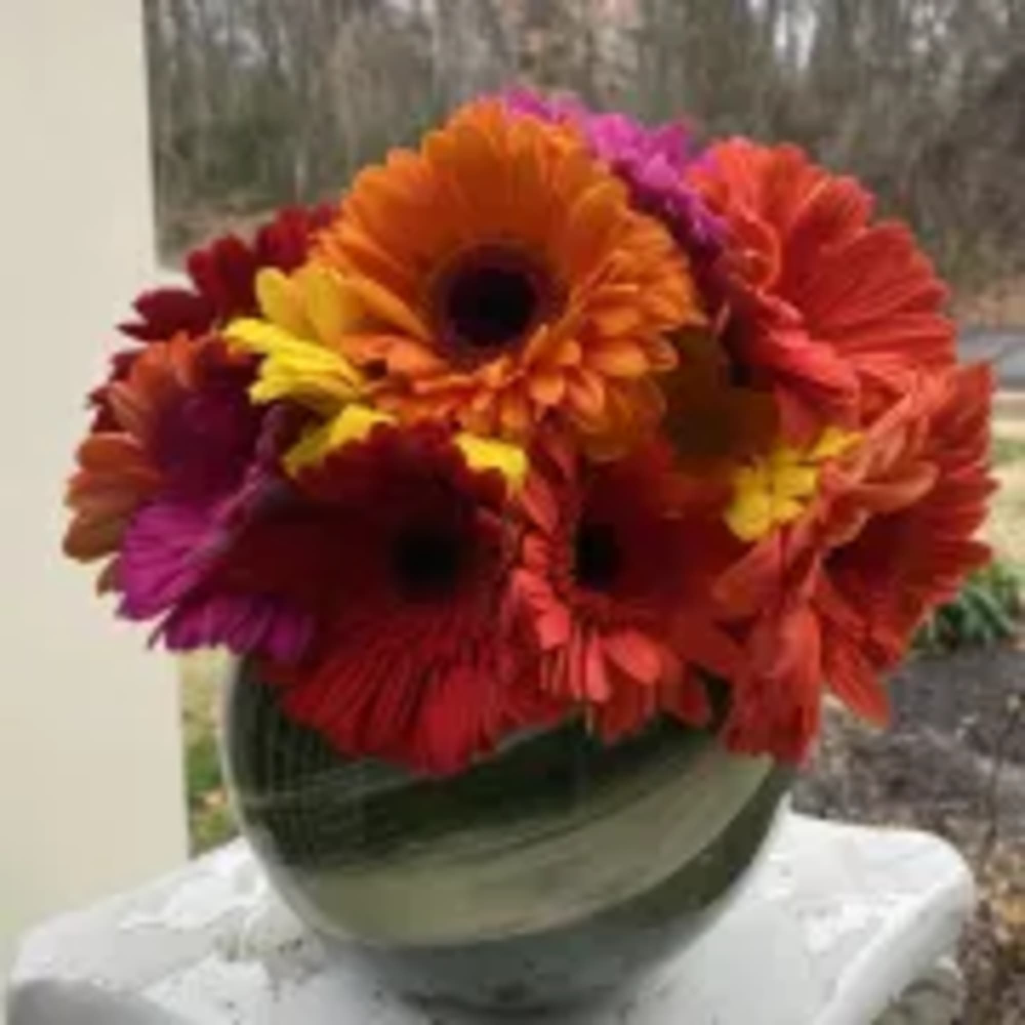 1st Image: Premium
2nd Image: Standard in a 5 inch bowl vase 
An 1st Image: Premium
2nd Image: Standard in a 5 inch bowl vase 
An