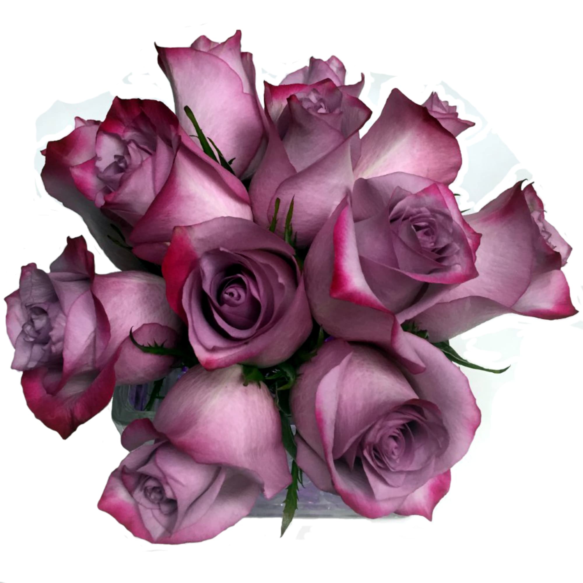 An enchanting bouquet of lavender roses sweetly touches her heart. Accented with