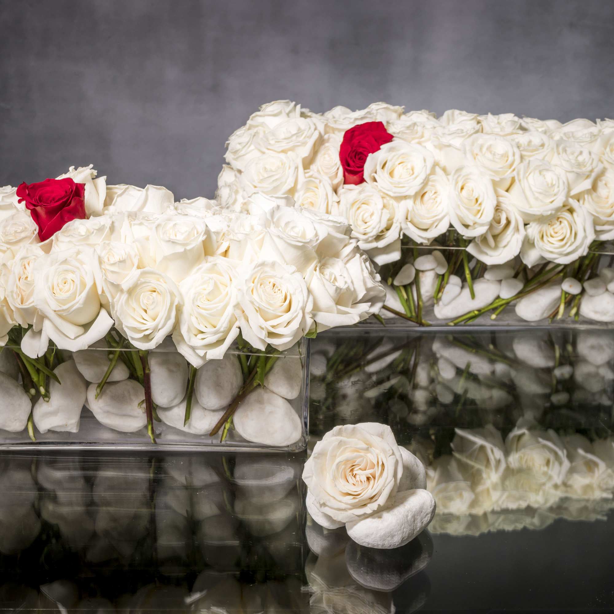 This sophisticated design features Creamy White Roses with one Deep Red Rose
