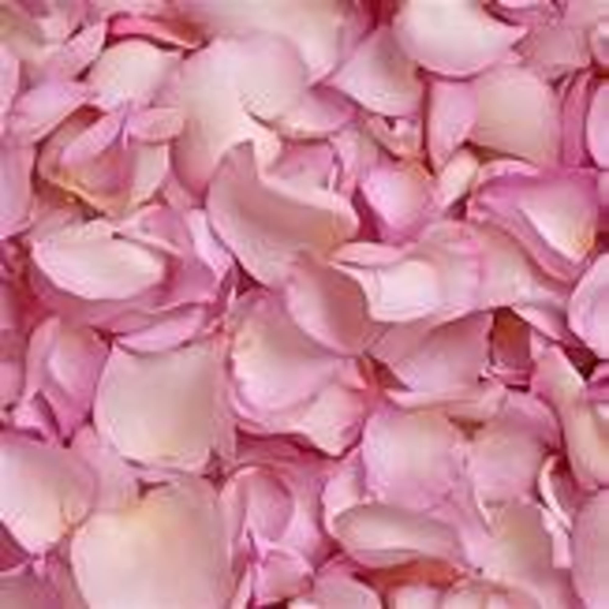 Rose petals in one gallon bag. Please specify the color of petals