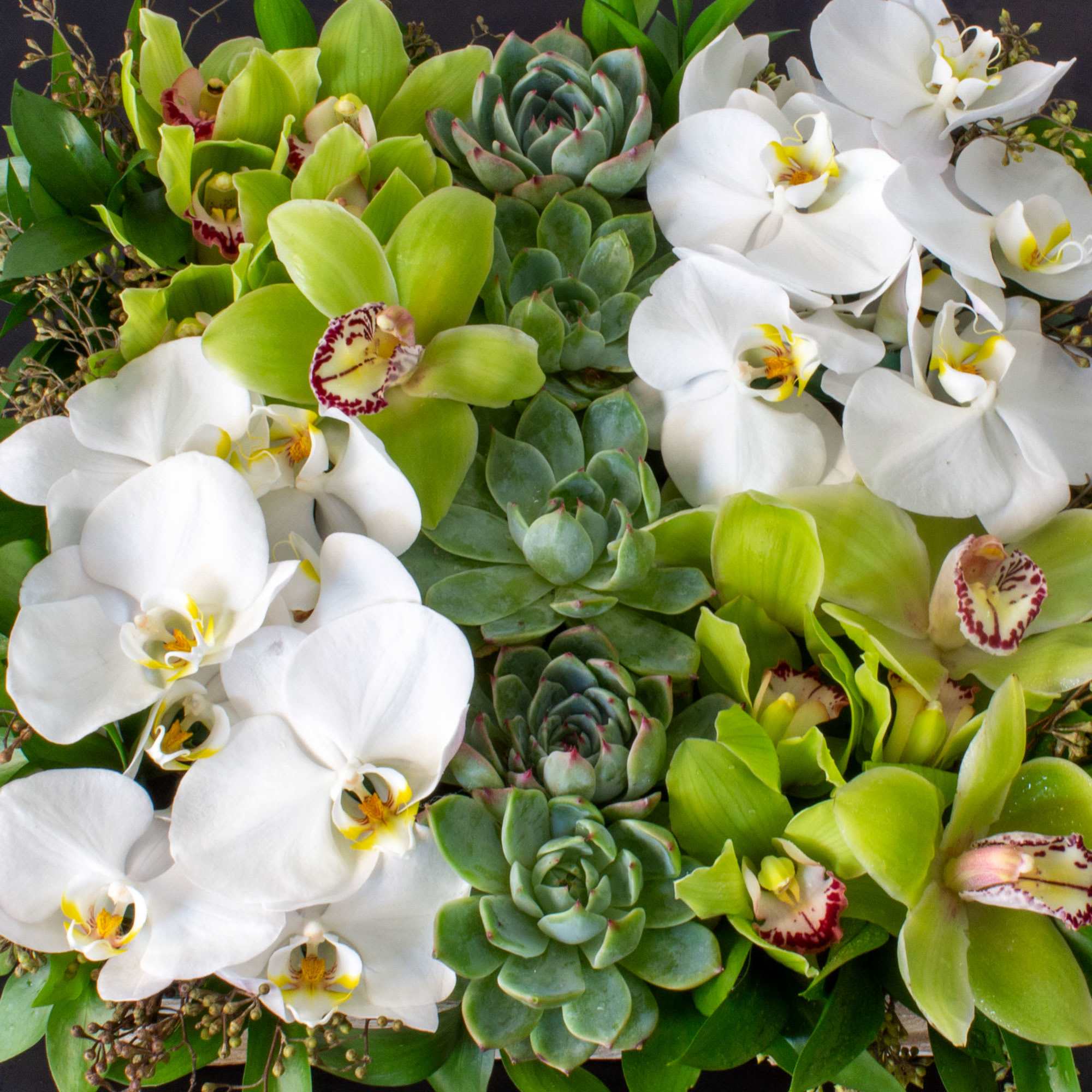 The Eternal Garden is the perfect, practical gift. Show your special someone