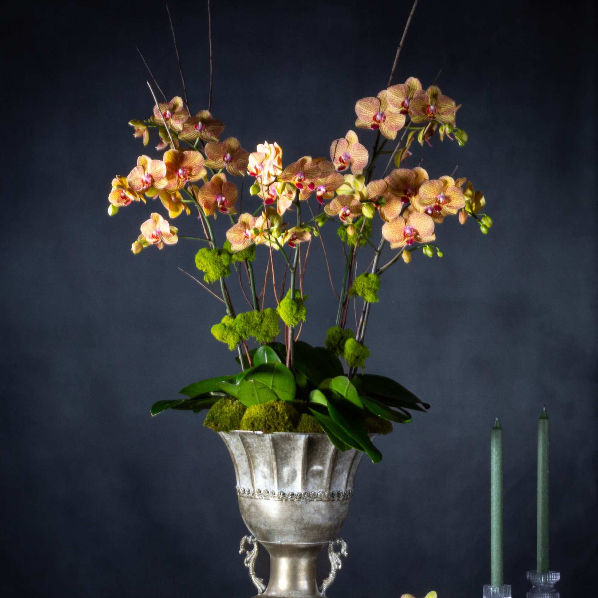 5 stems of exotic peach orchids in a pewter pedastel bowl