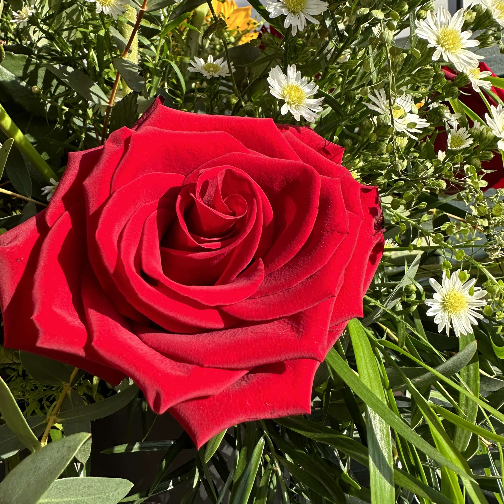 Prom Special including a graduation cap (little box for your gift)! Our