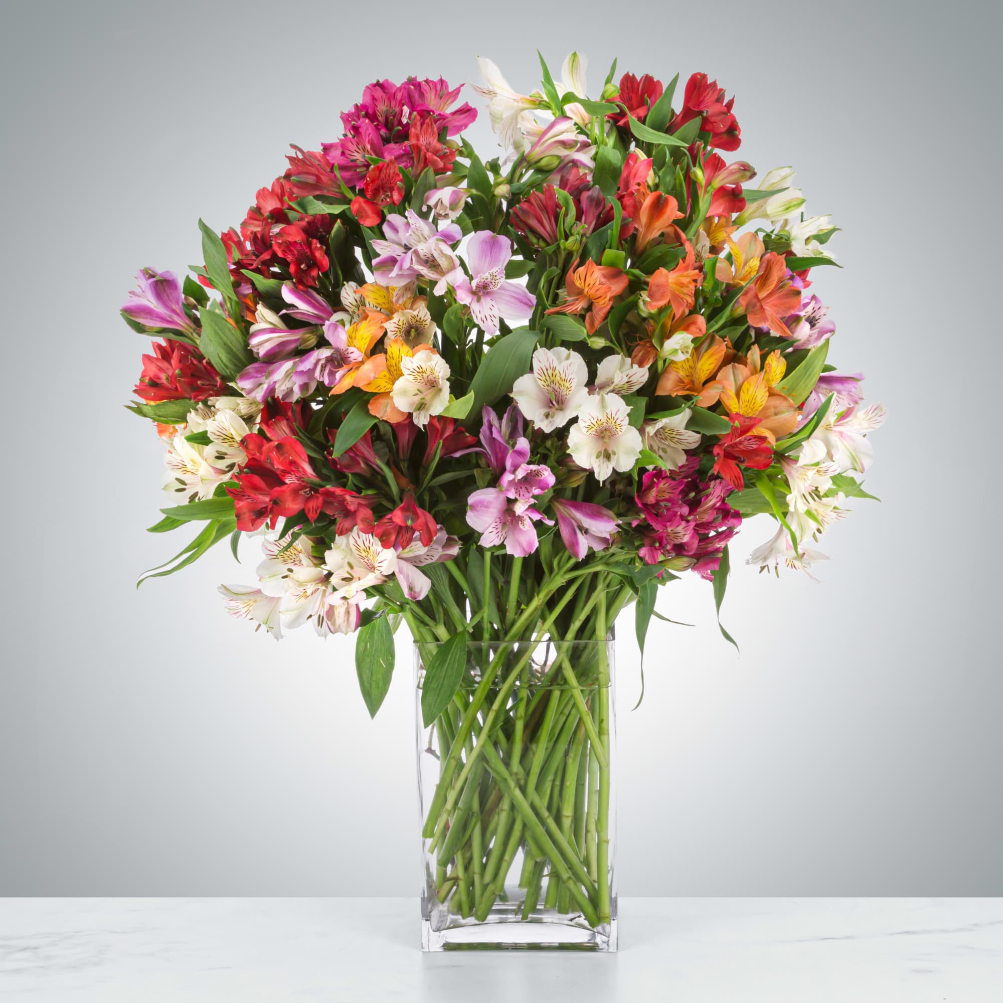Alstroemeria often represents mutual support. This makes the arrangement the perfect choice Alstroemeria often represents mutual support. This makes the arrangement the perfect choice