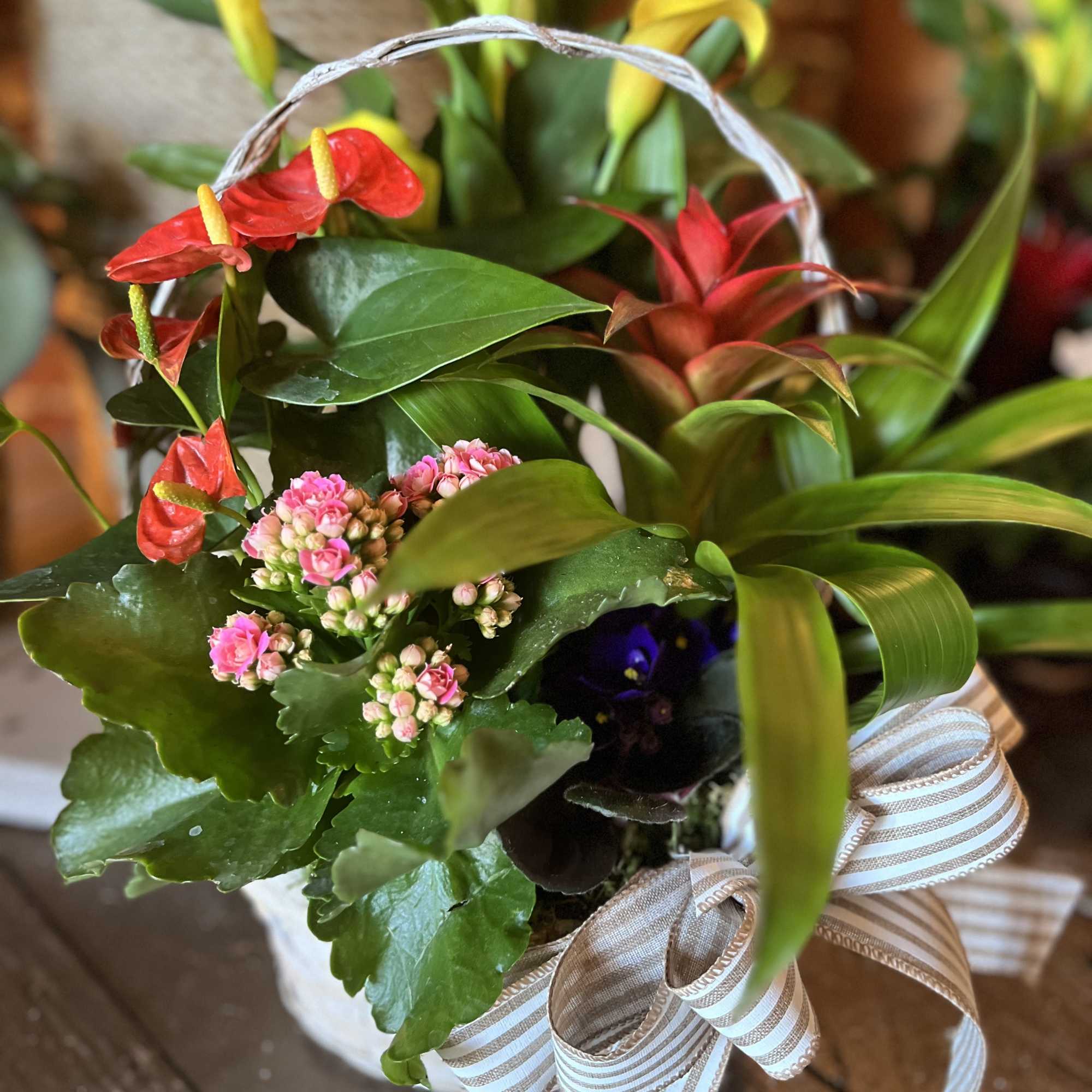 The European Garden Basket offers a unique assortment of green and blooming