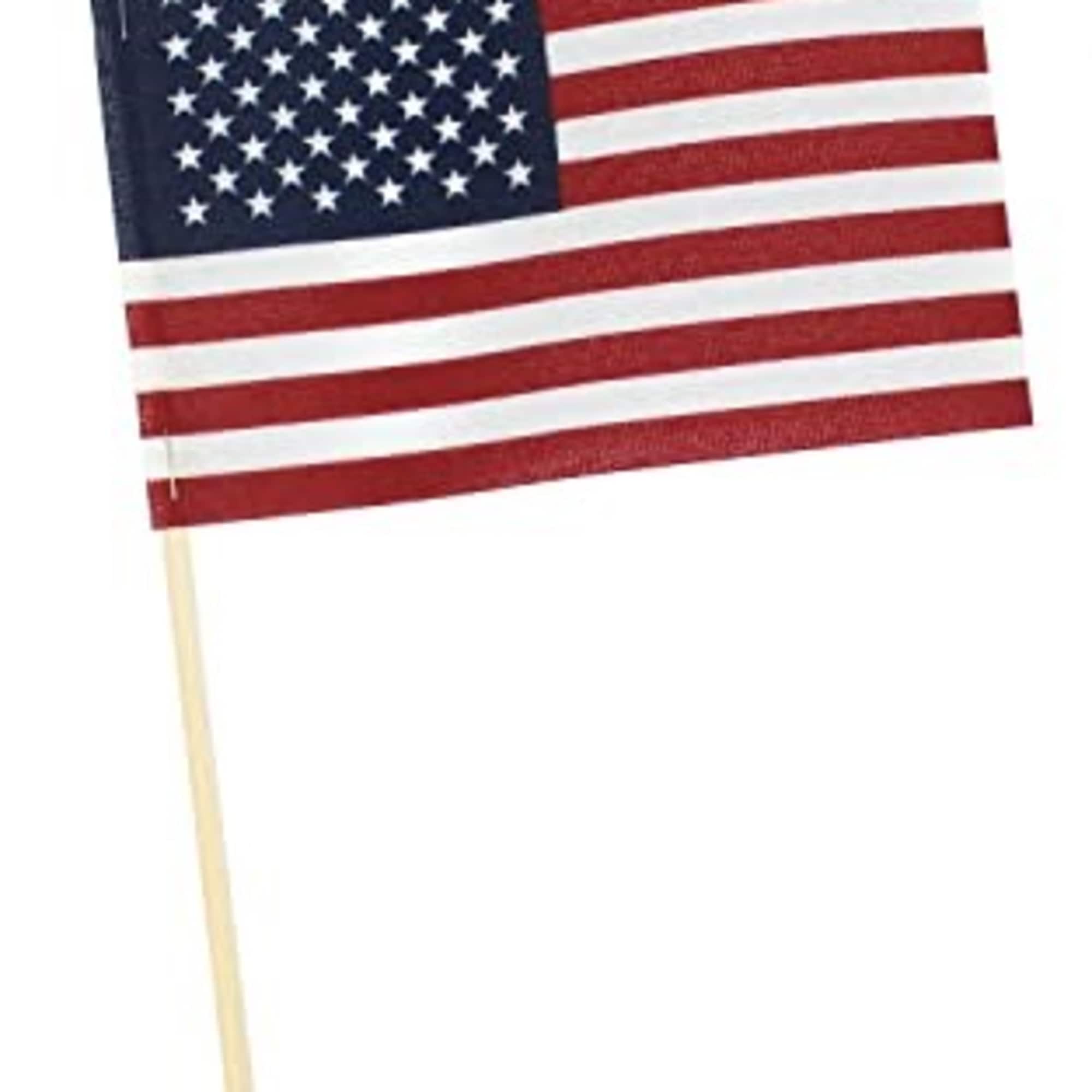 Celebrate America with this red, white, and blue arrangement. Perfect for sending